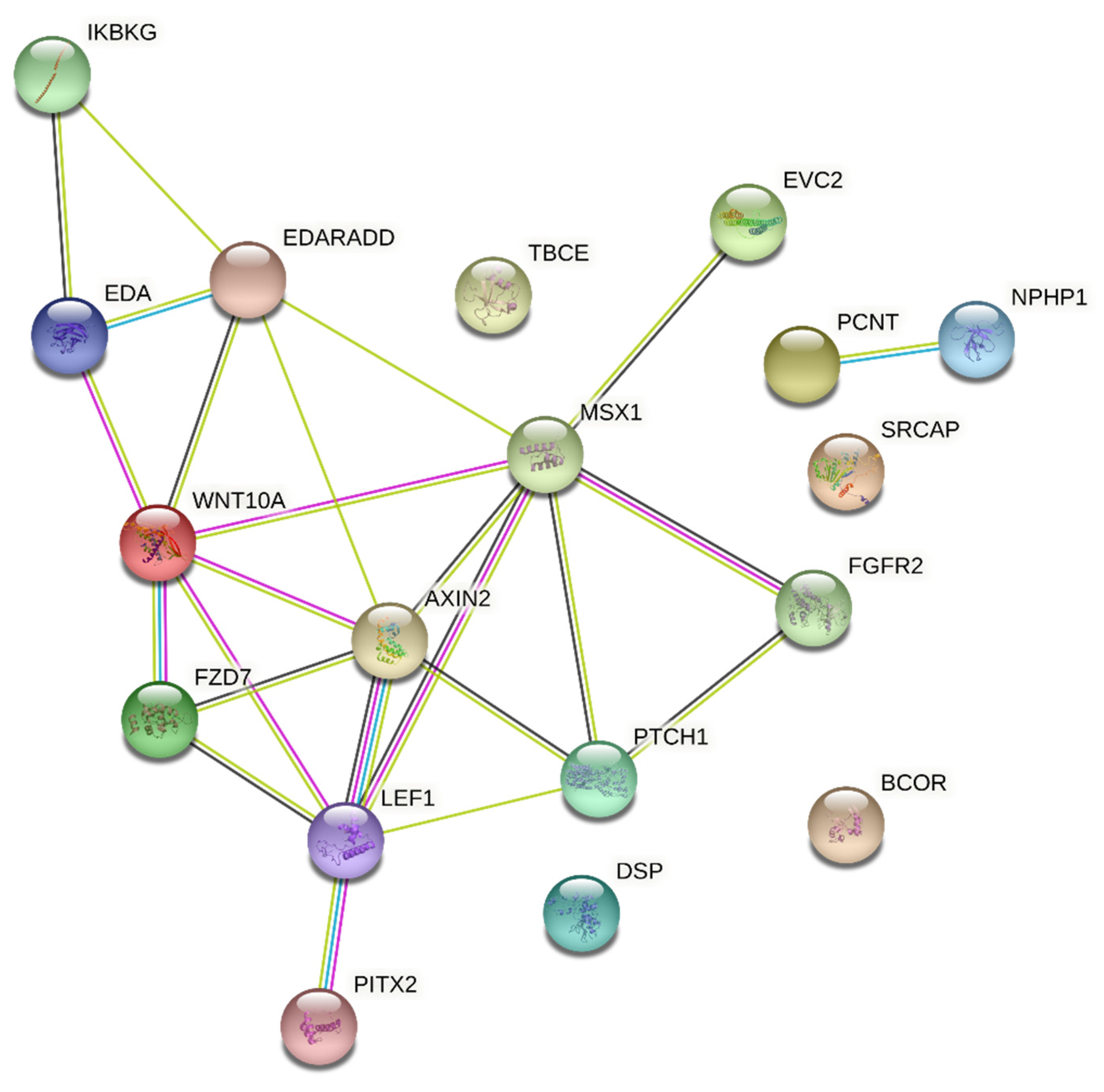 Preprints 83732 g002