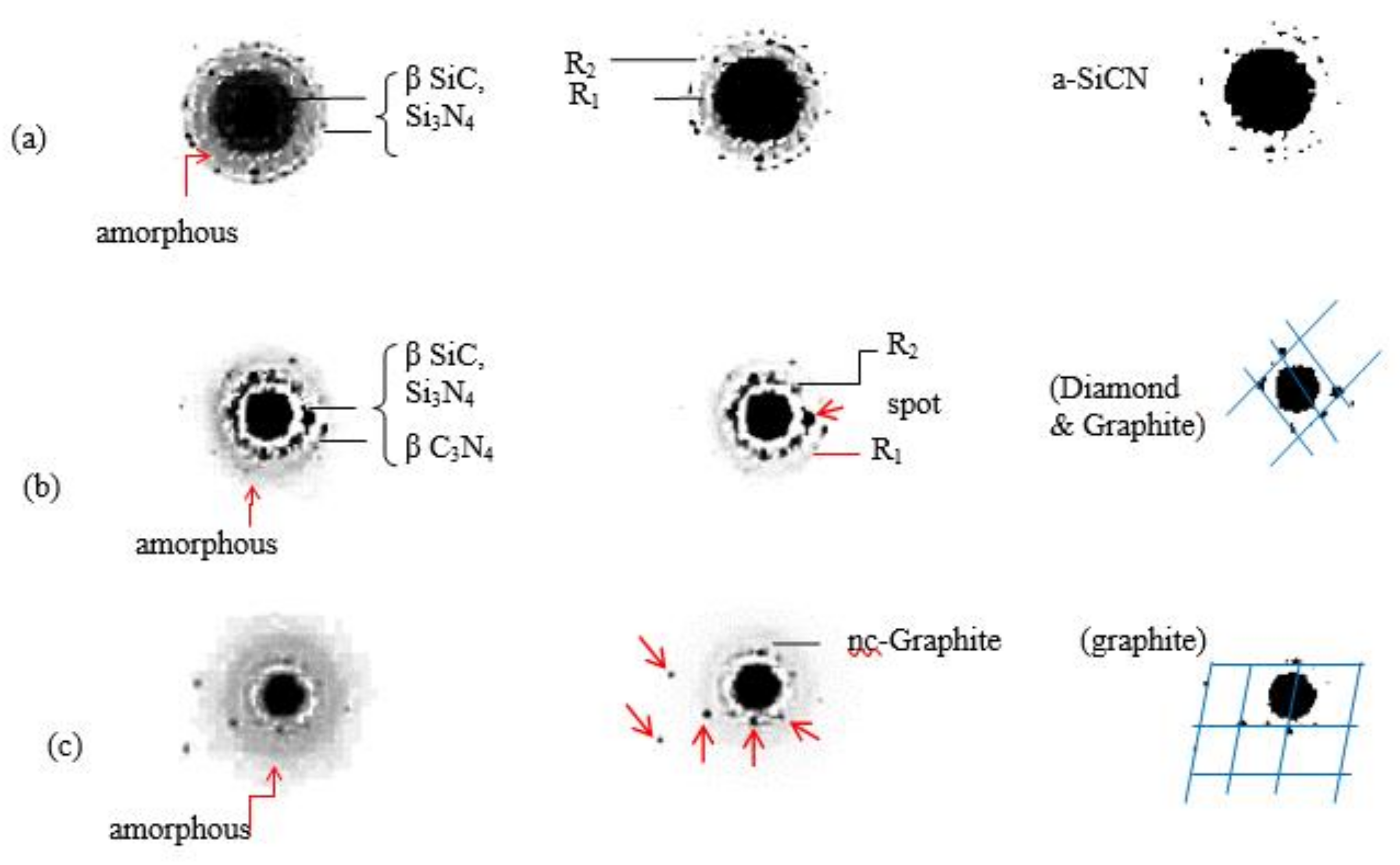 Preprints 102654 g003