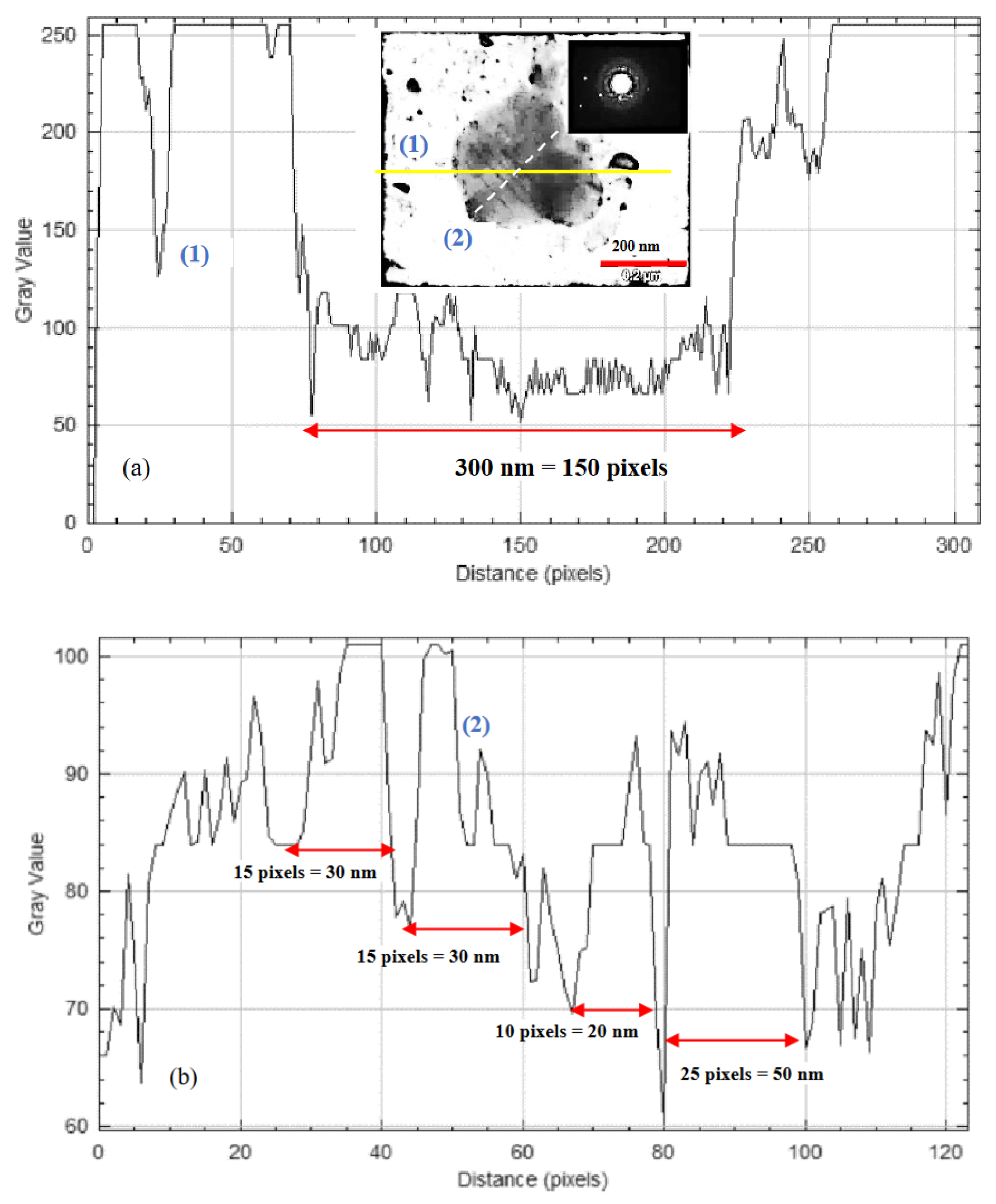 Preprints 102654 g006