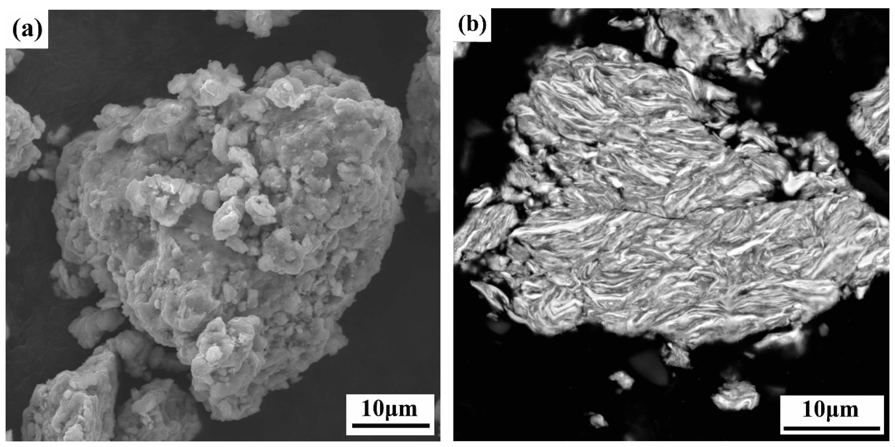 Preprints 76919 g001