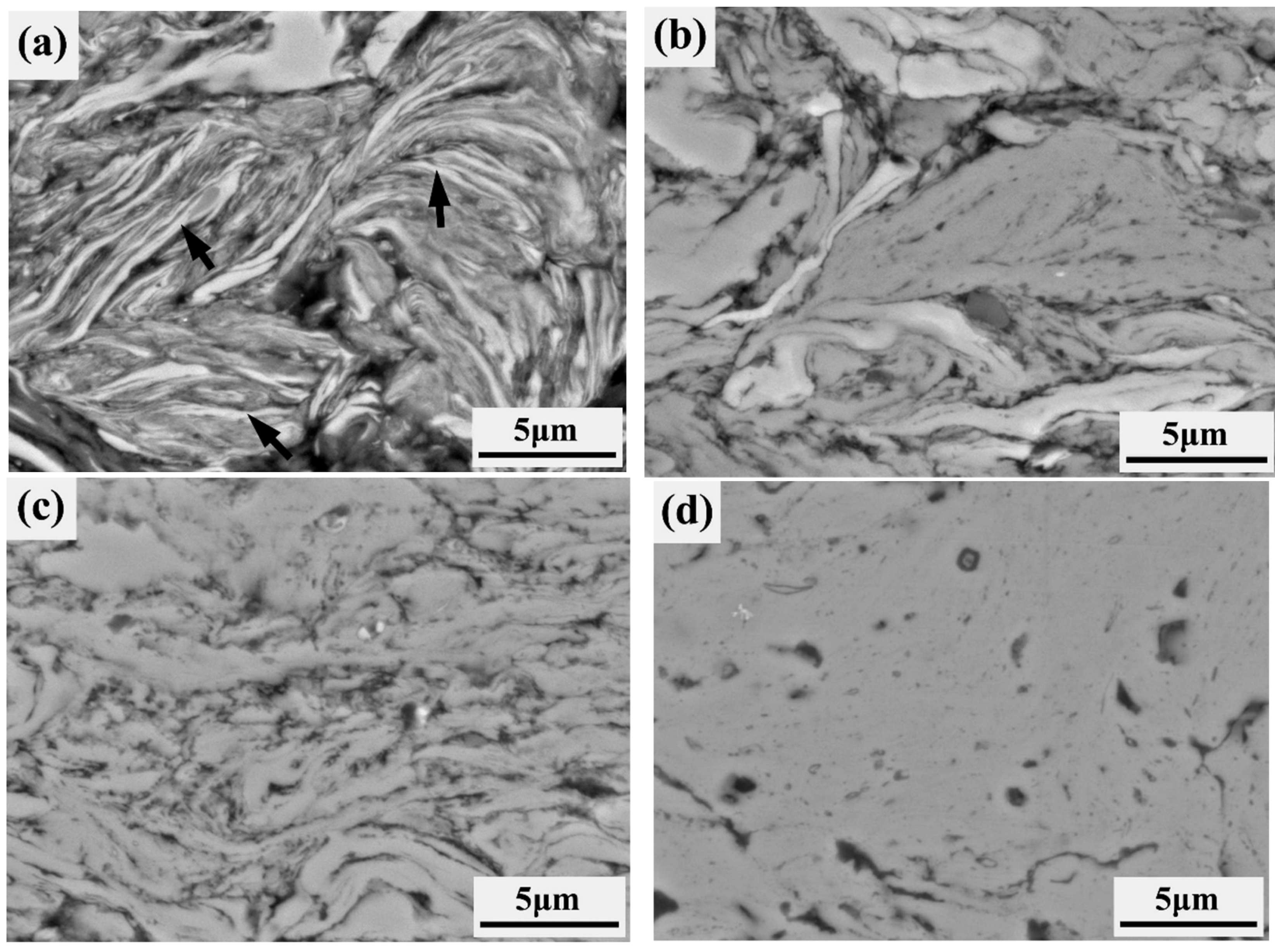 Preprints 76919 g005