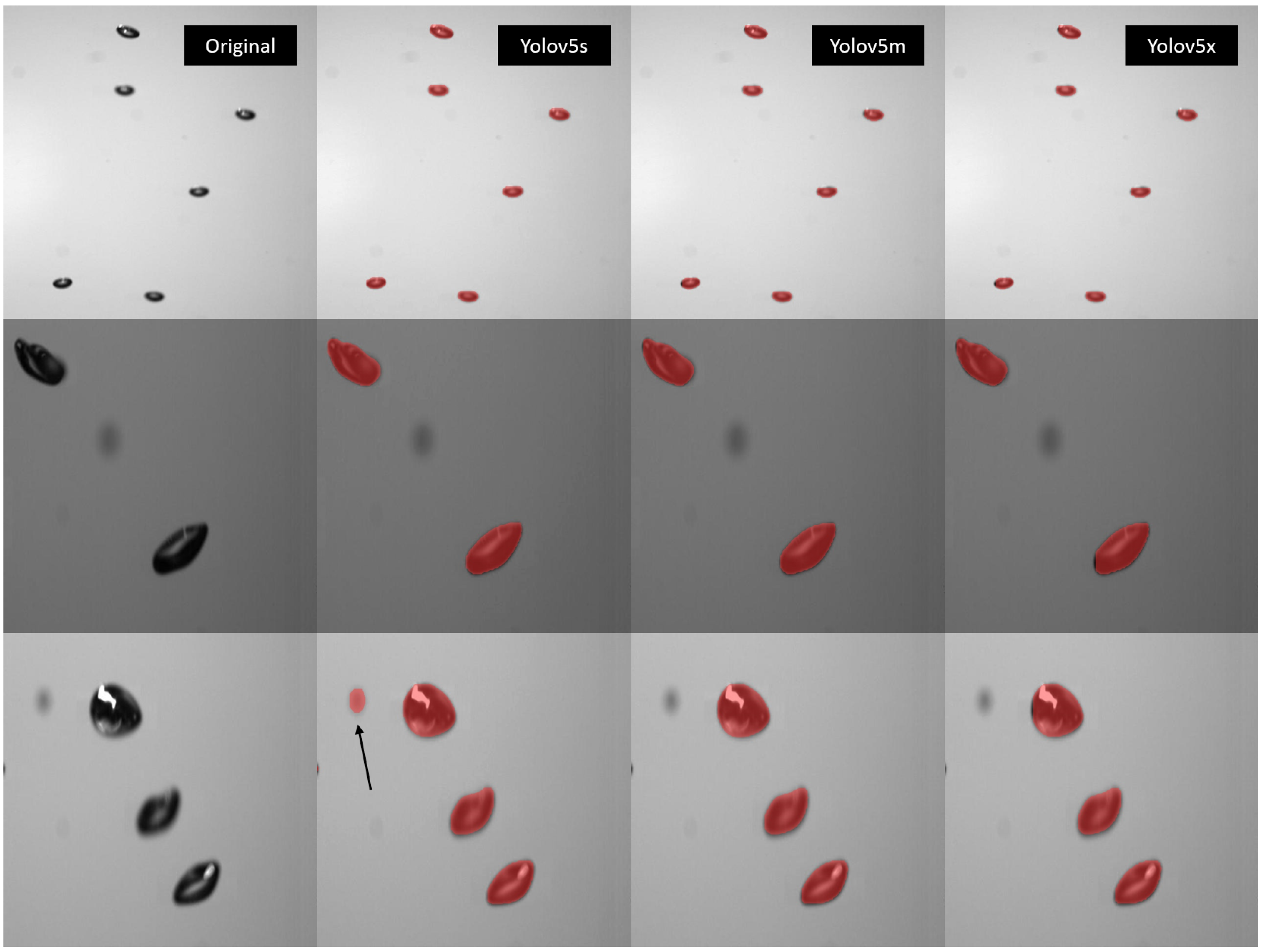 Preprints 114704 g010