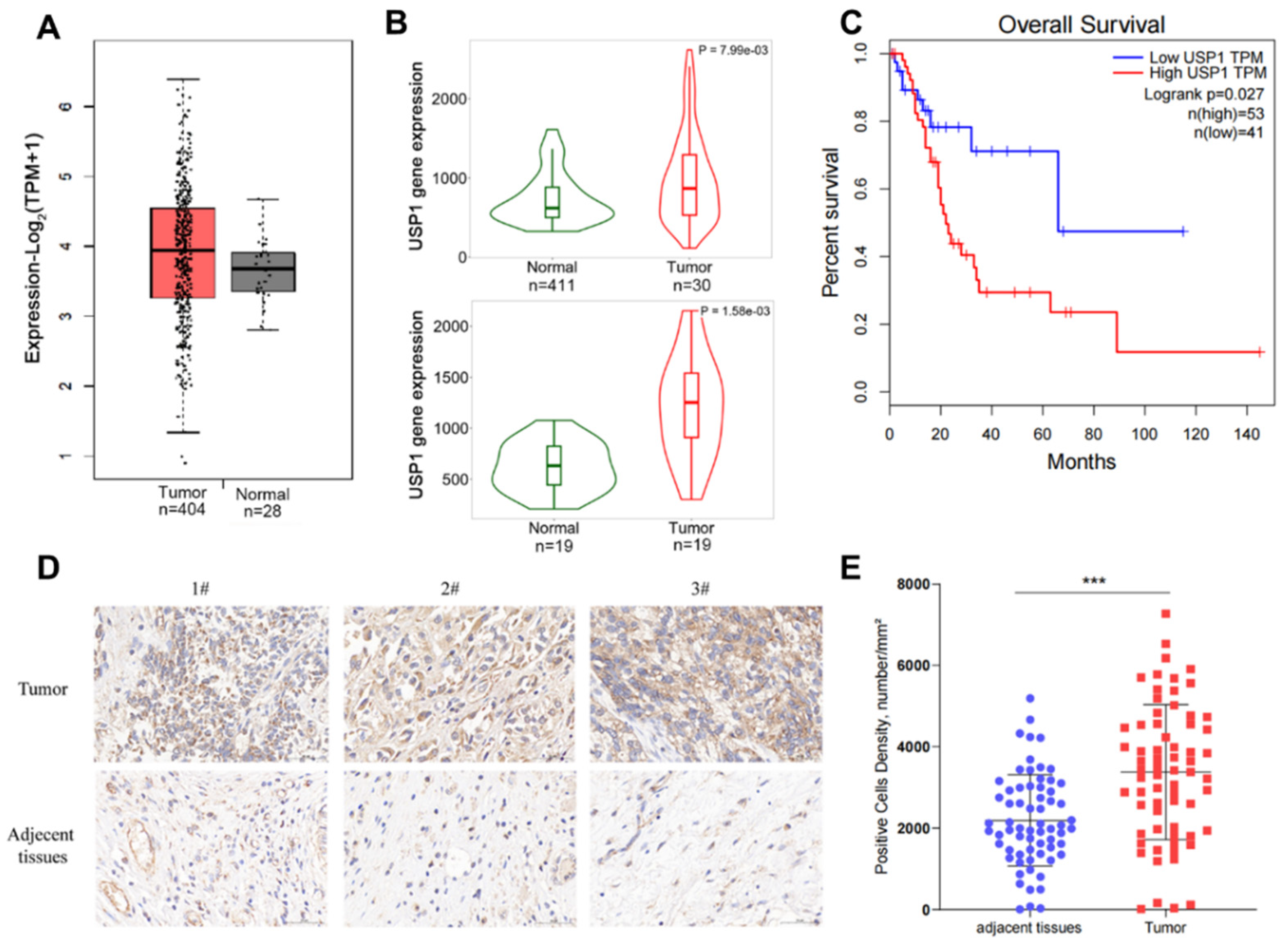 Preprints 116534 g001