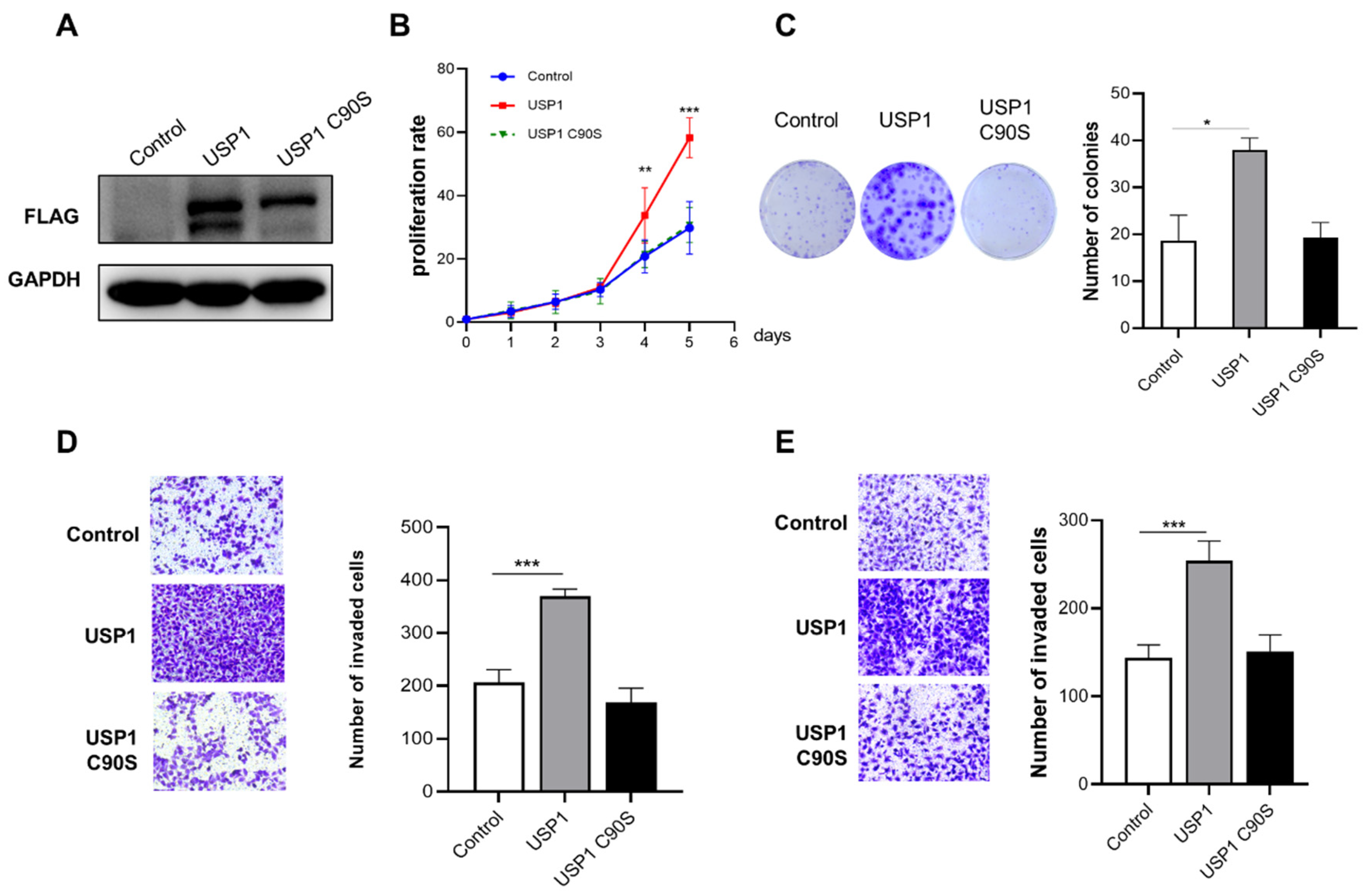 Preprints 116534 g002