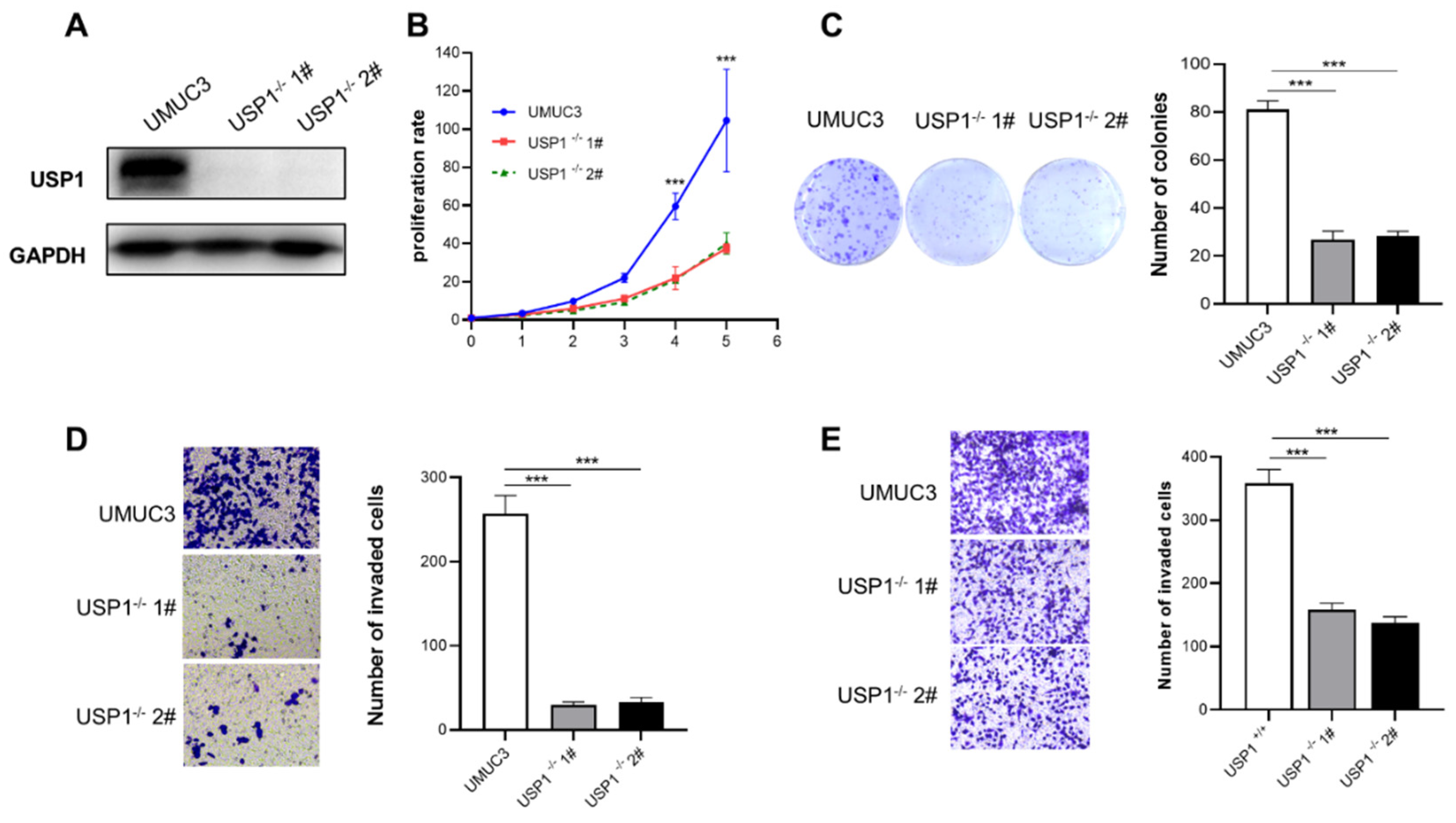 Preprints 116534 g003