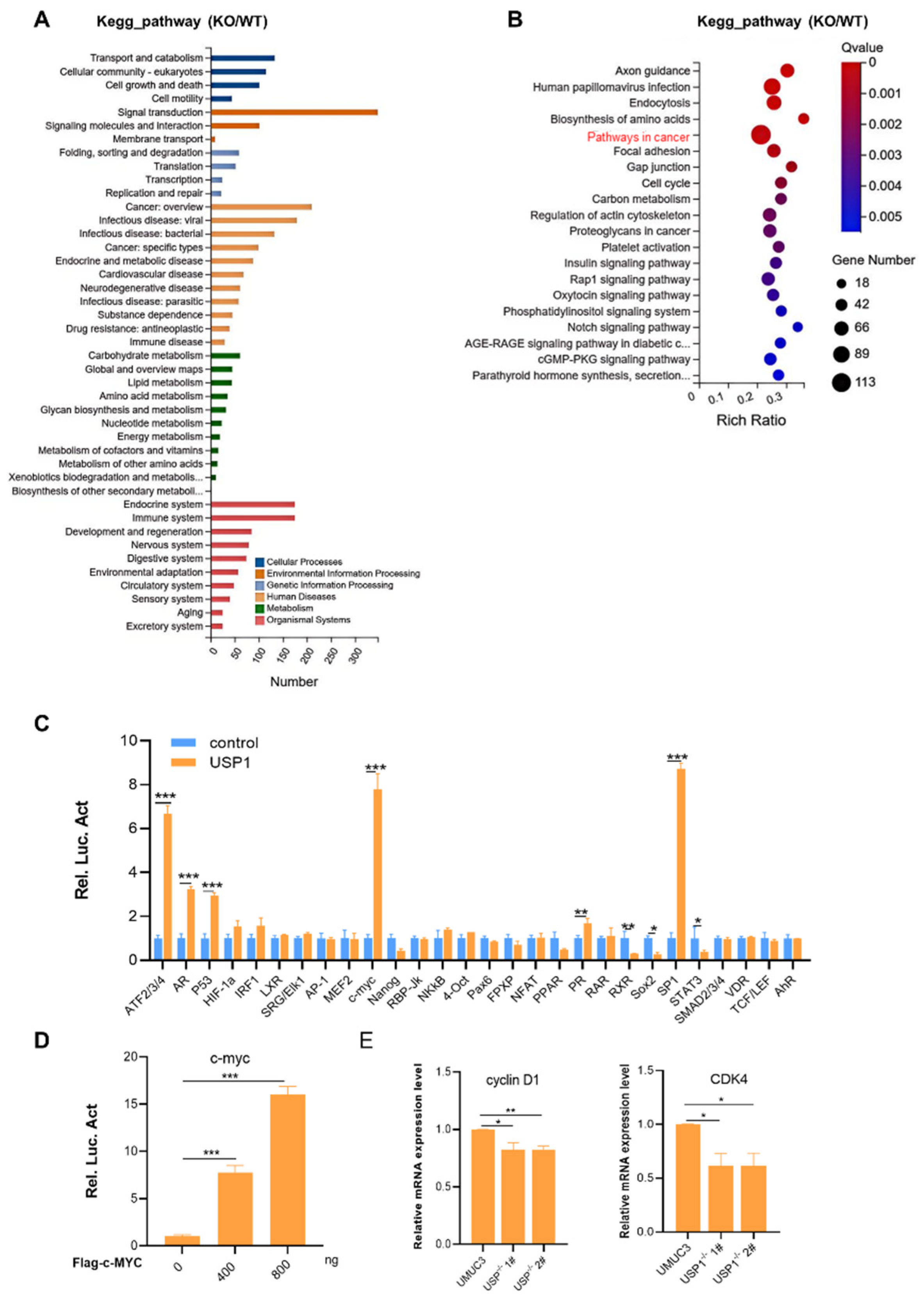 Preprints 116534 g004