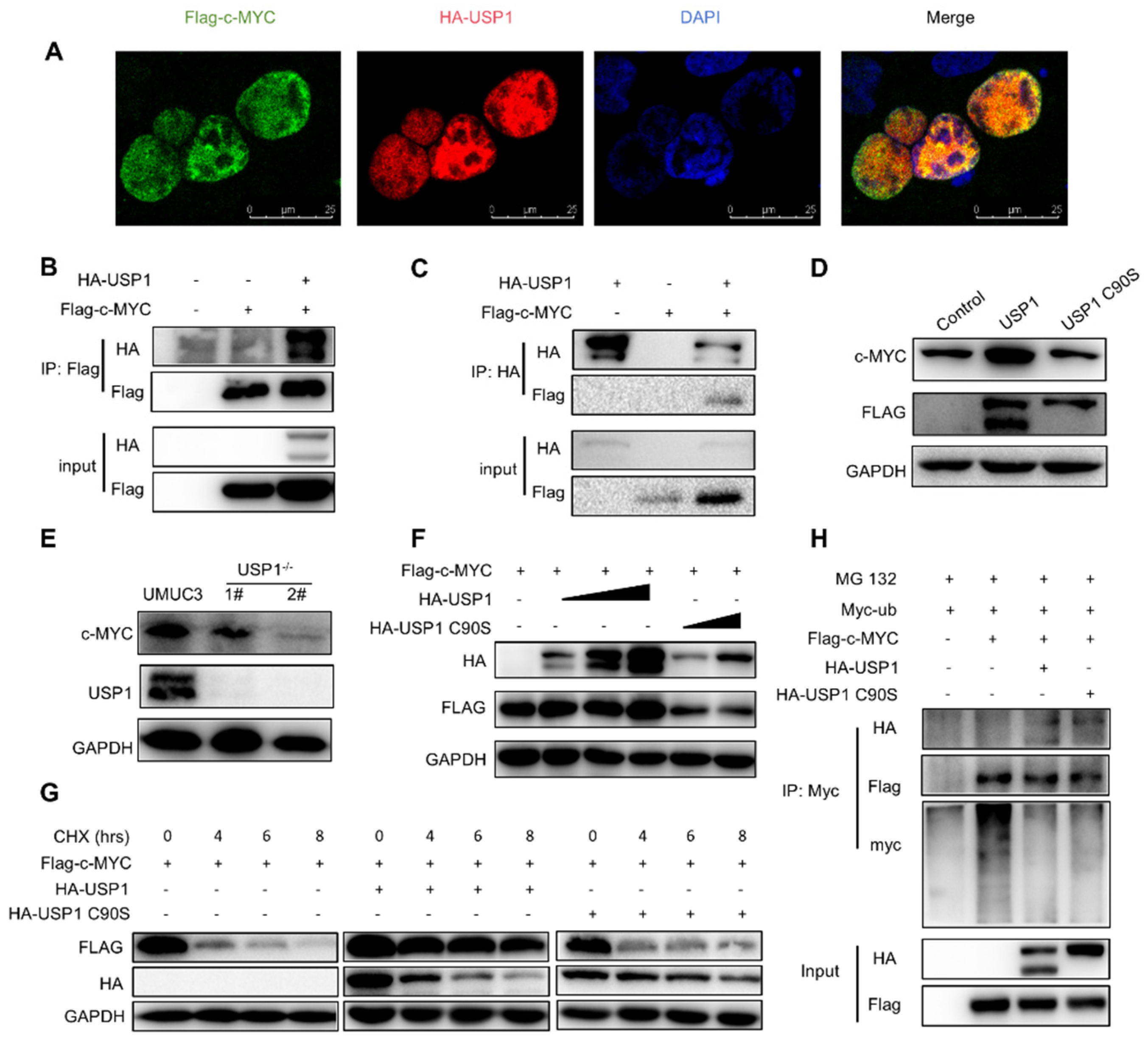 Preprints 116534 g005