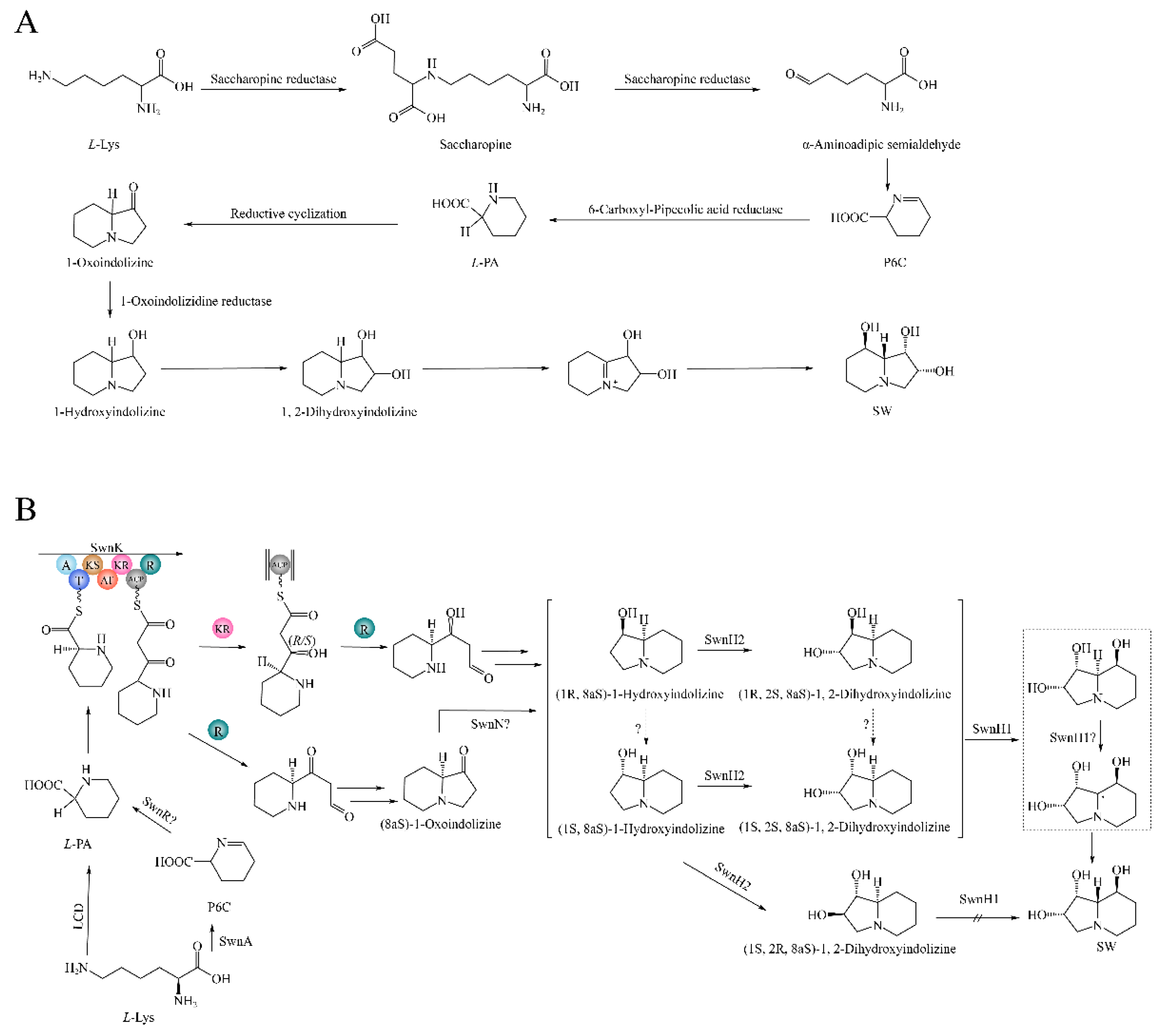 Preprints 117681 g001