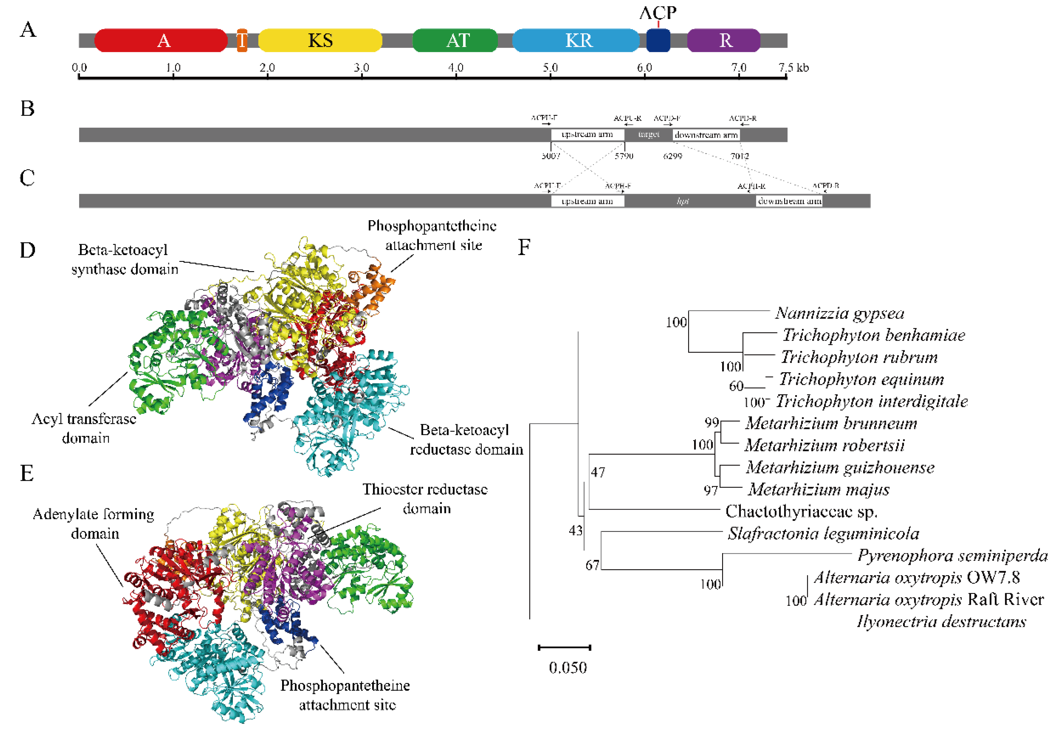 Preprints 117681 g005