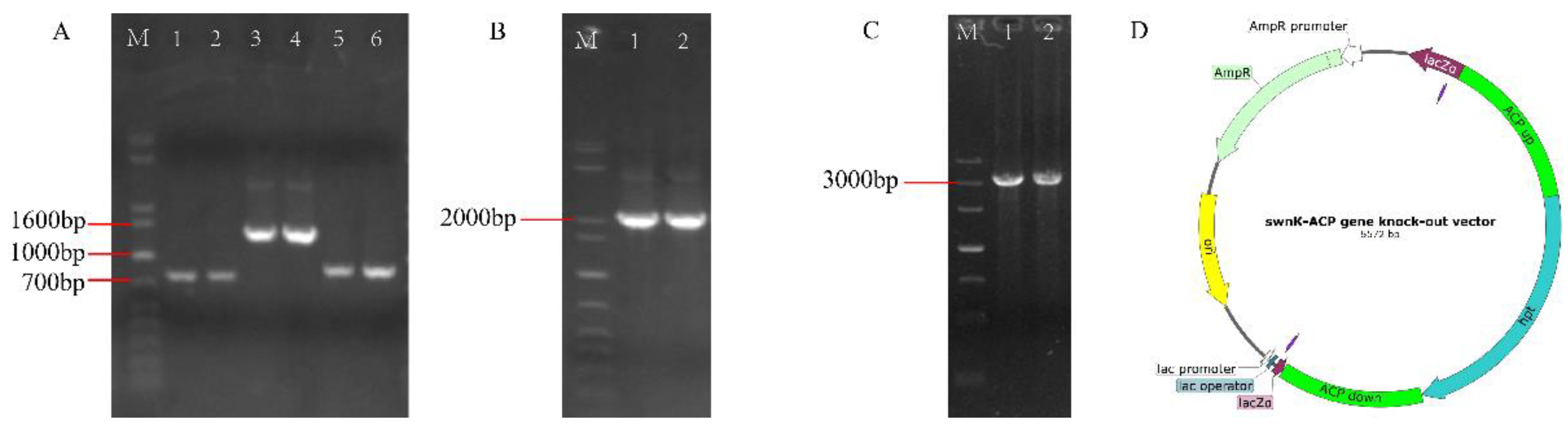 Preprints 117681 g006