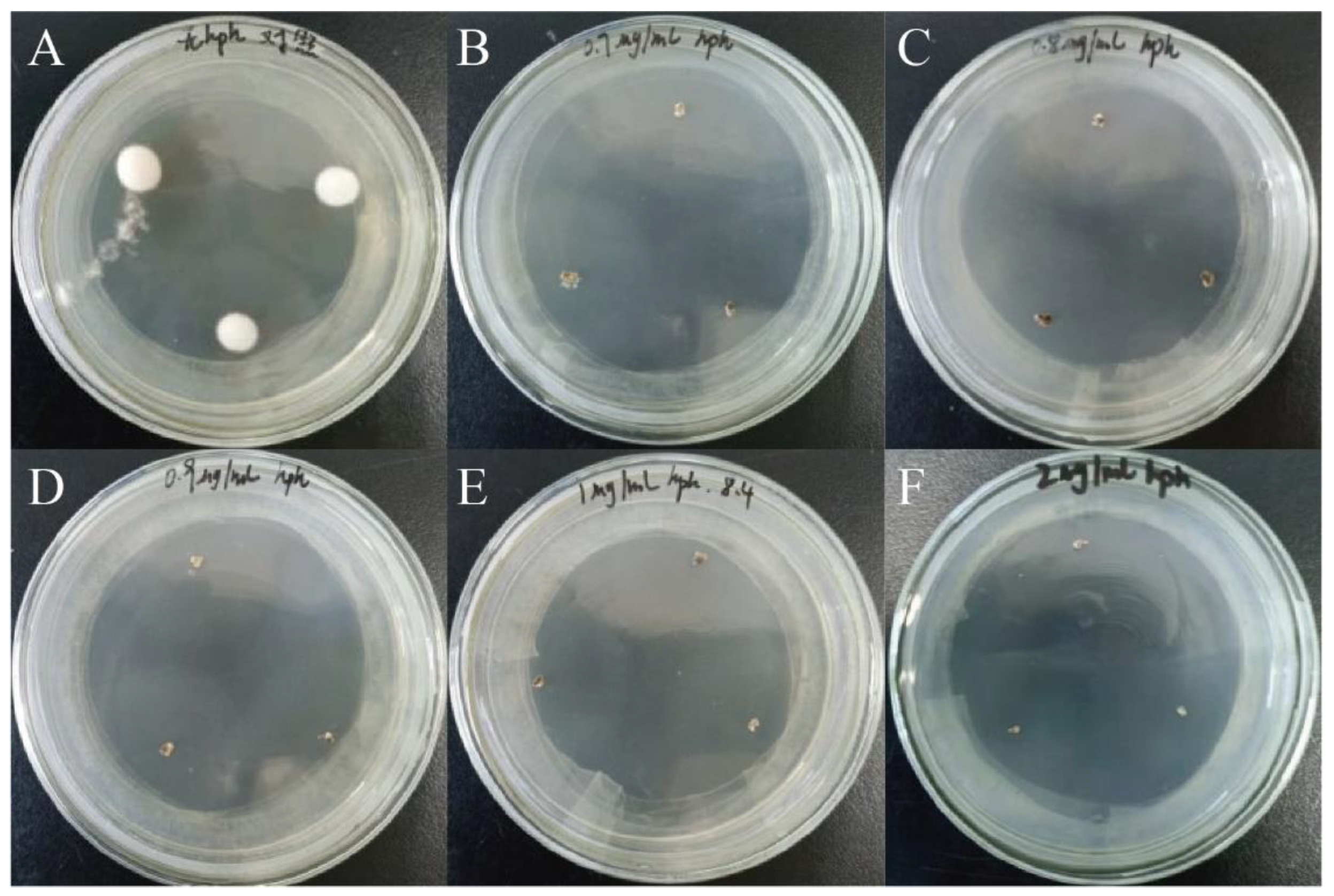 Preprints 117681 g007