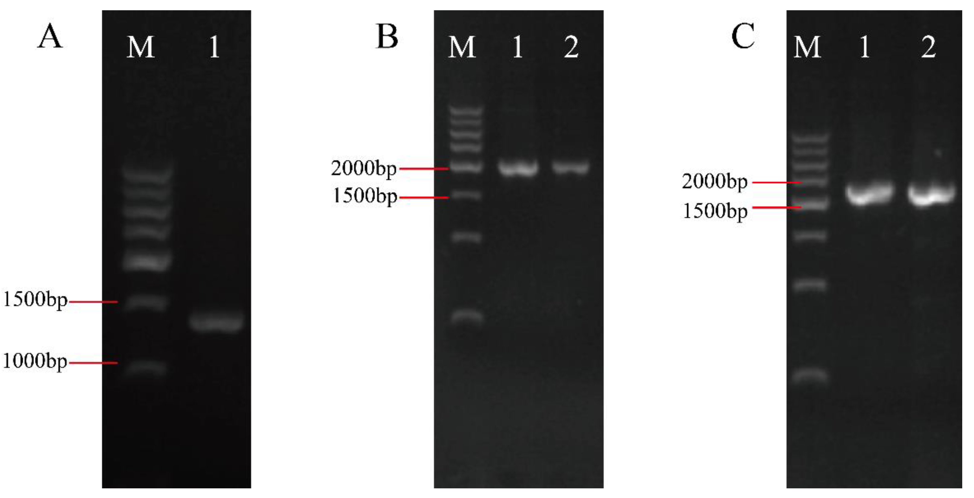 Preprints 117681 g008