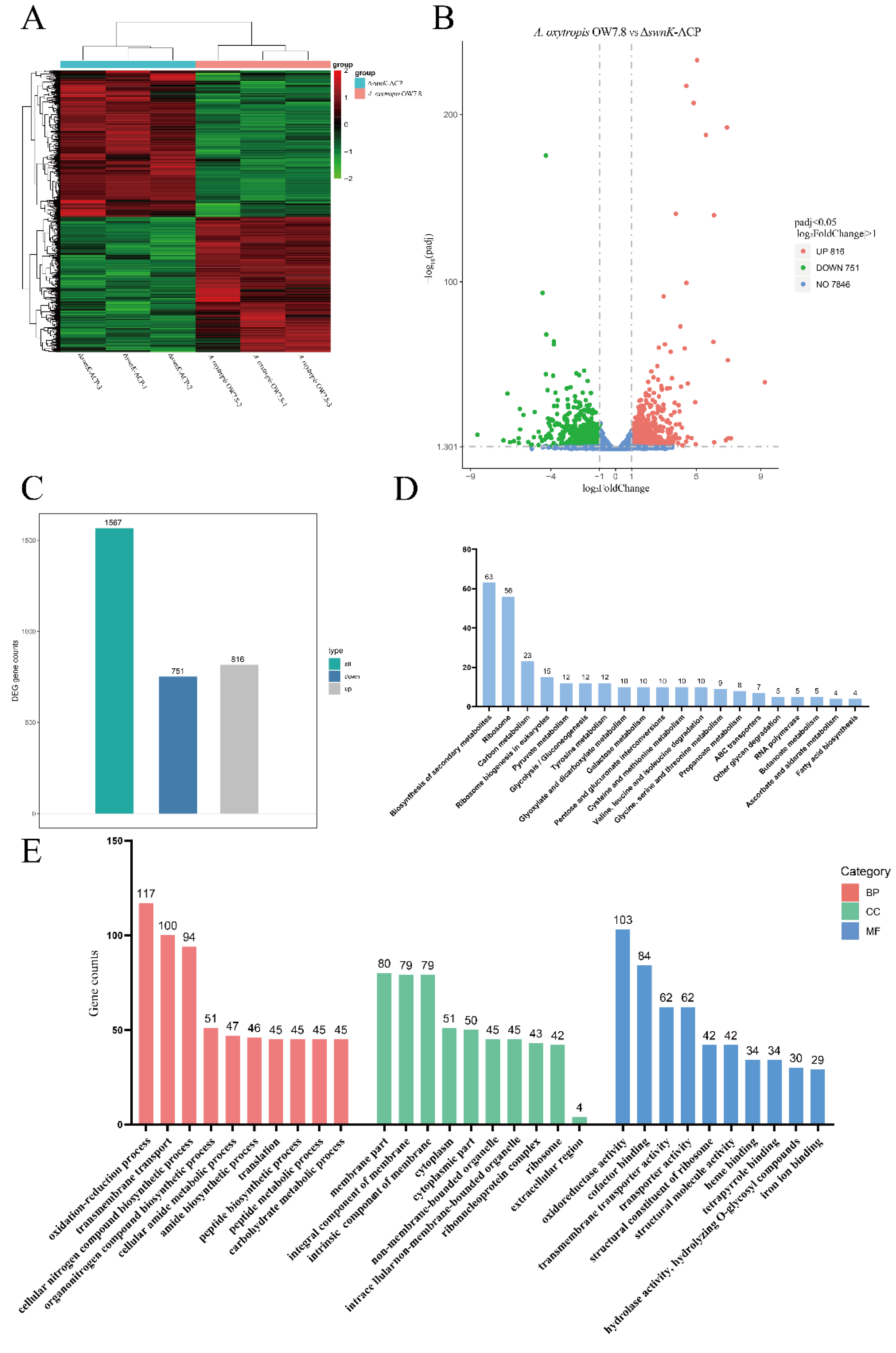 Preprints 117681 g010