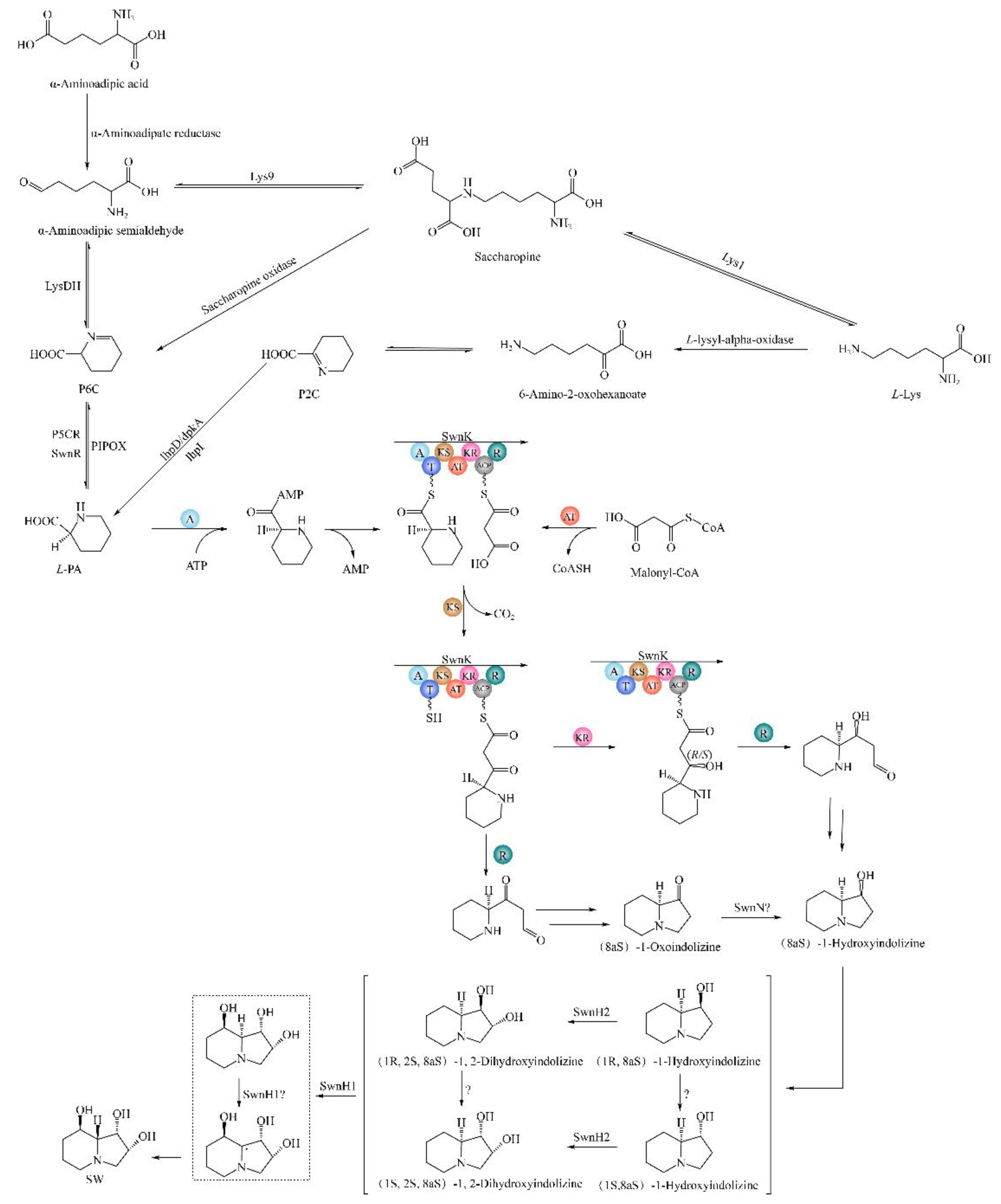 Preprints 117681 g012