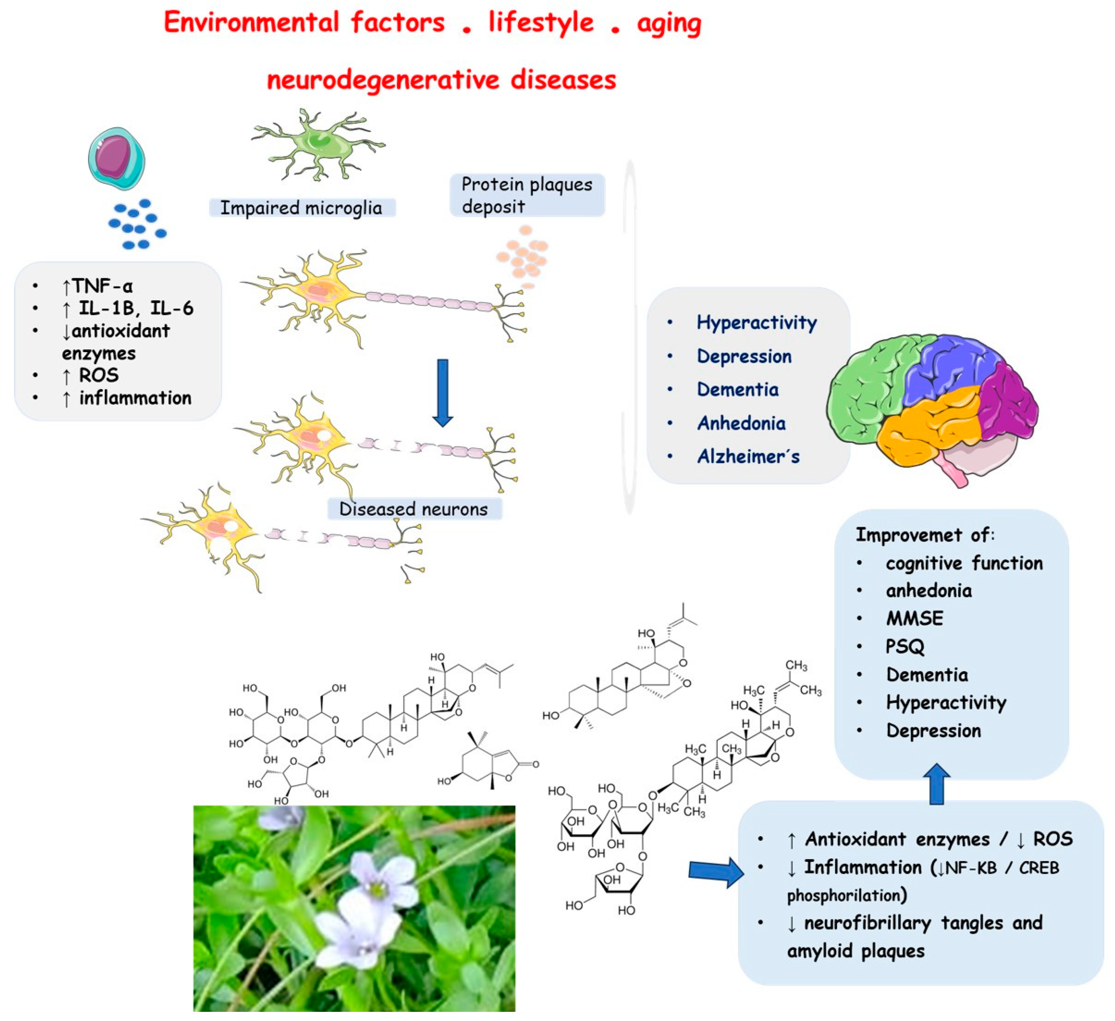 Preprints 98162 g006