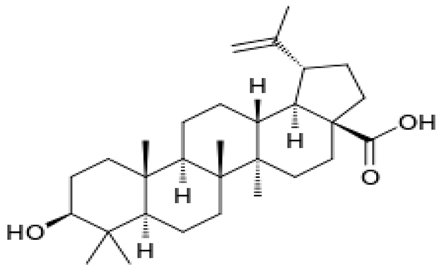 Preprints 98162 i011