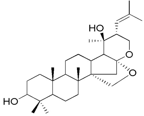 Preprints 98162 i017