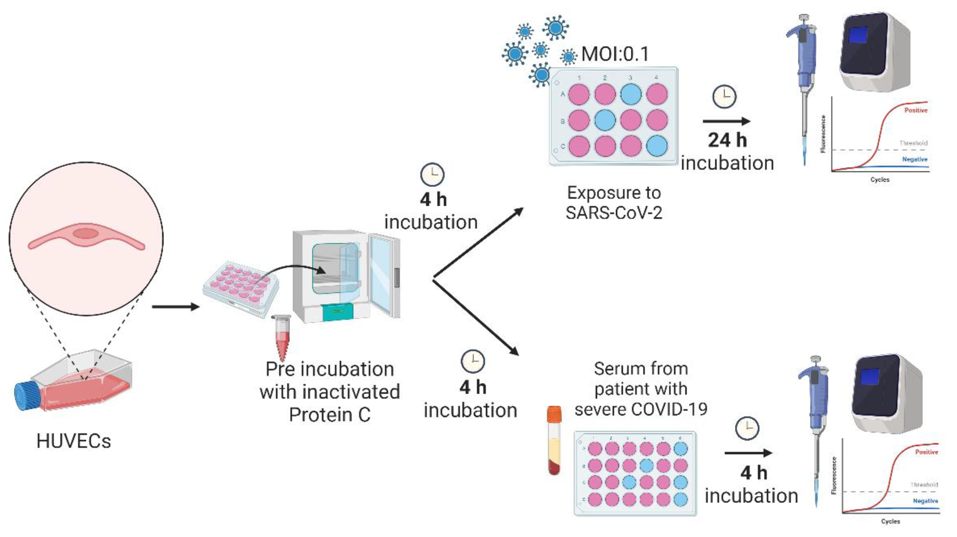 Preprints 107983 g001