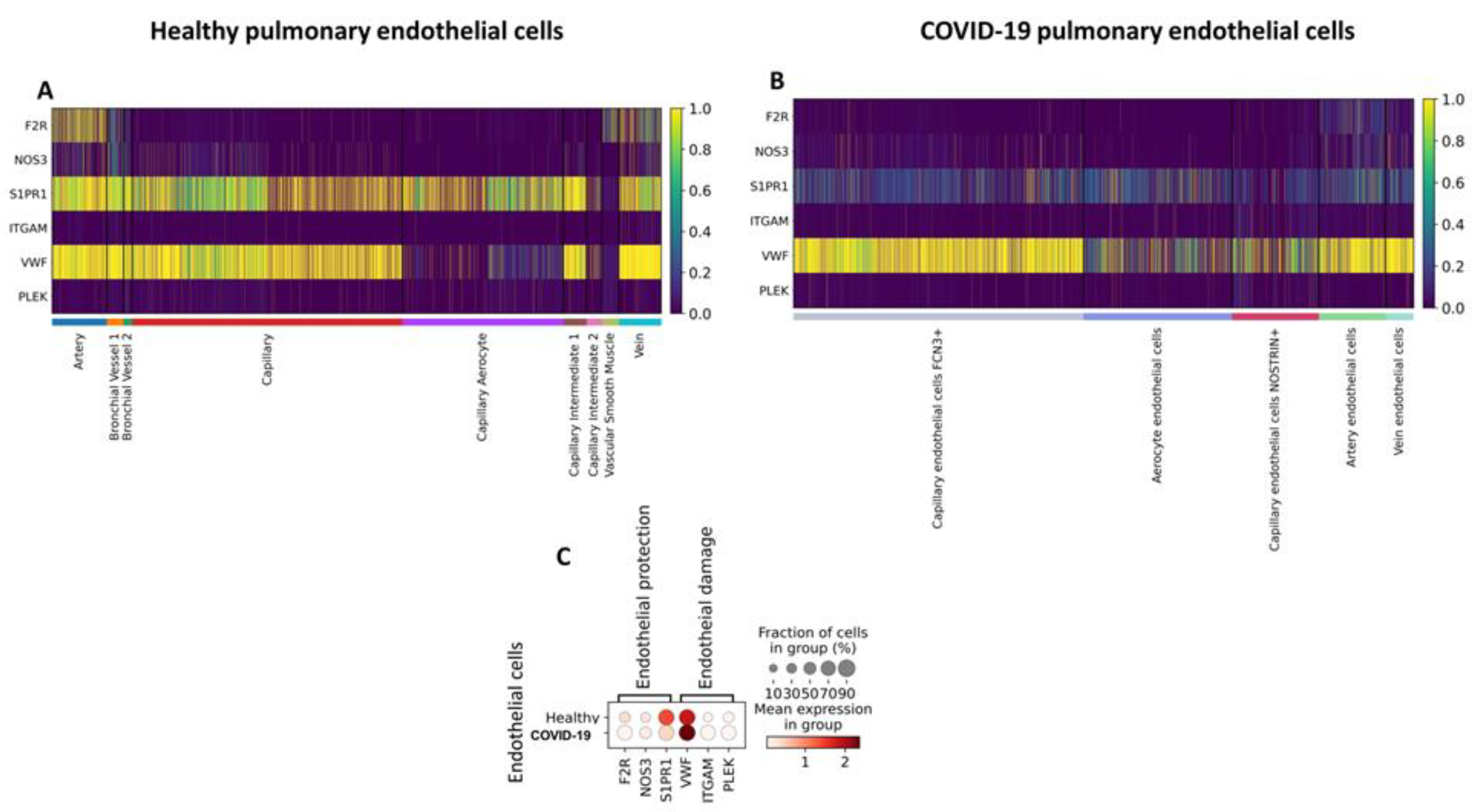 Preprints 107983 g002