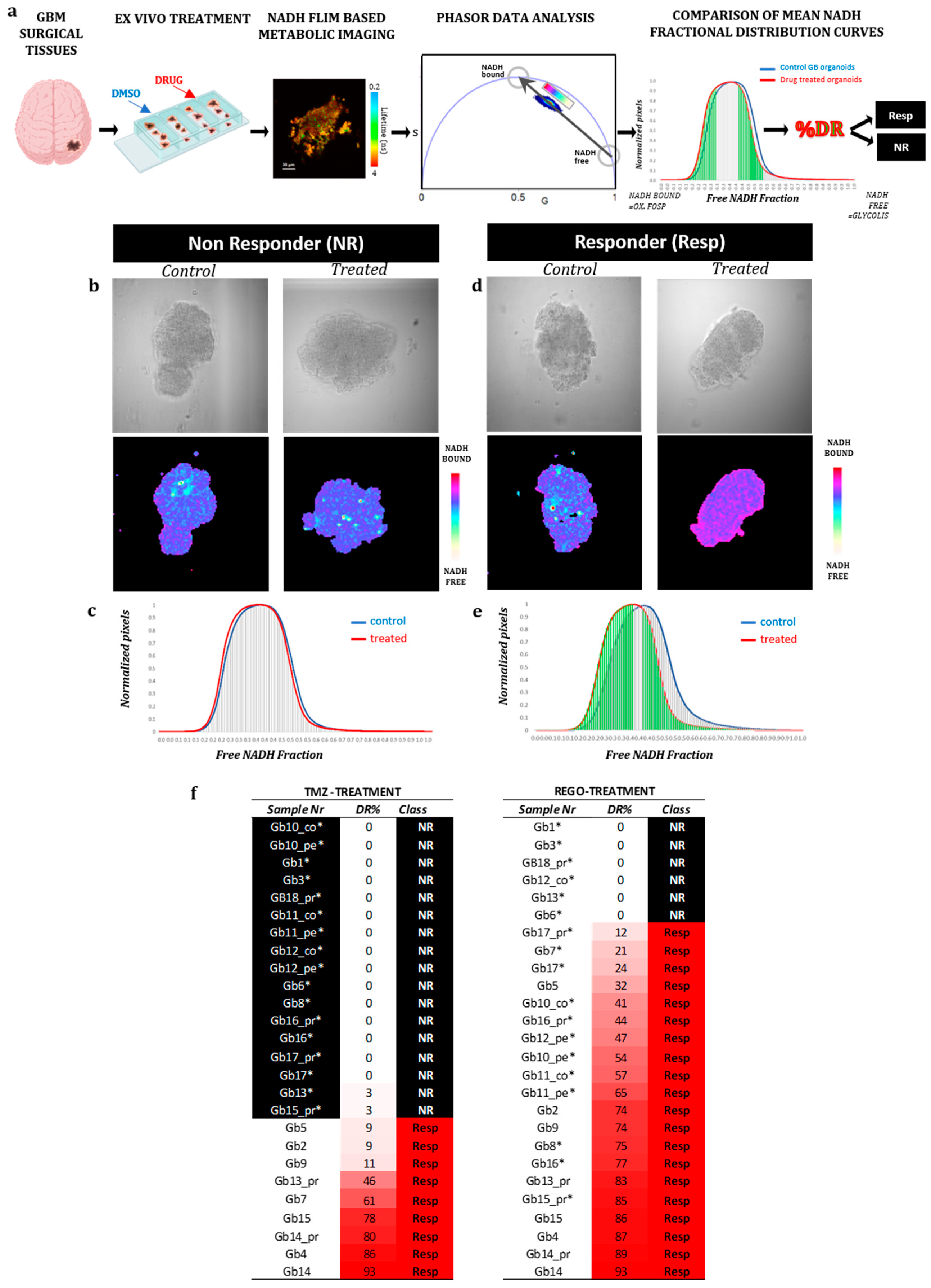 Preprints 98448 g001