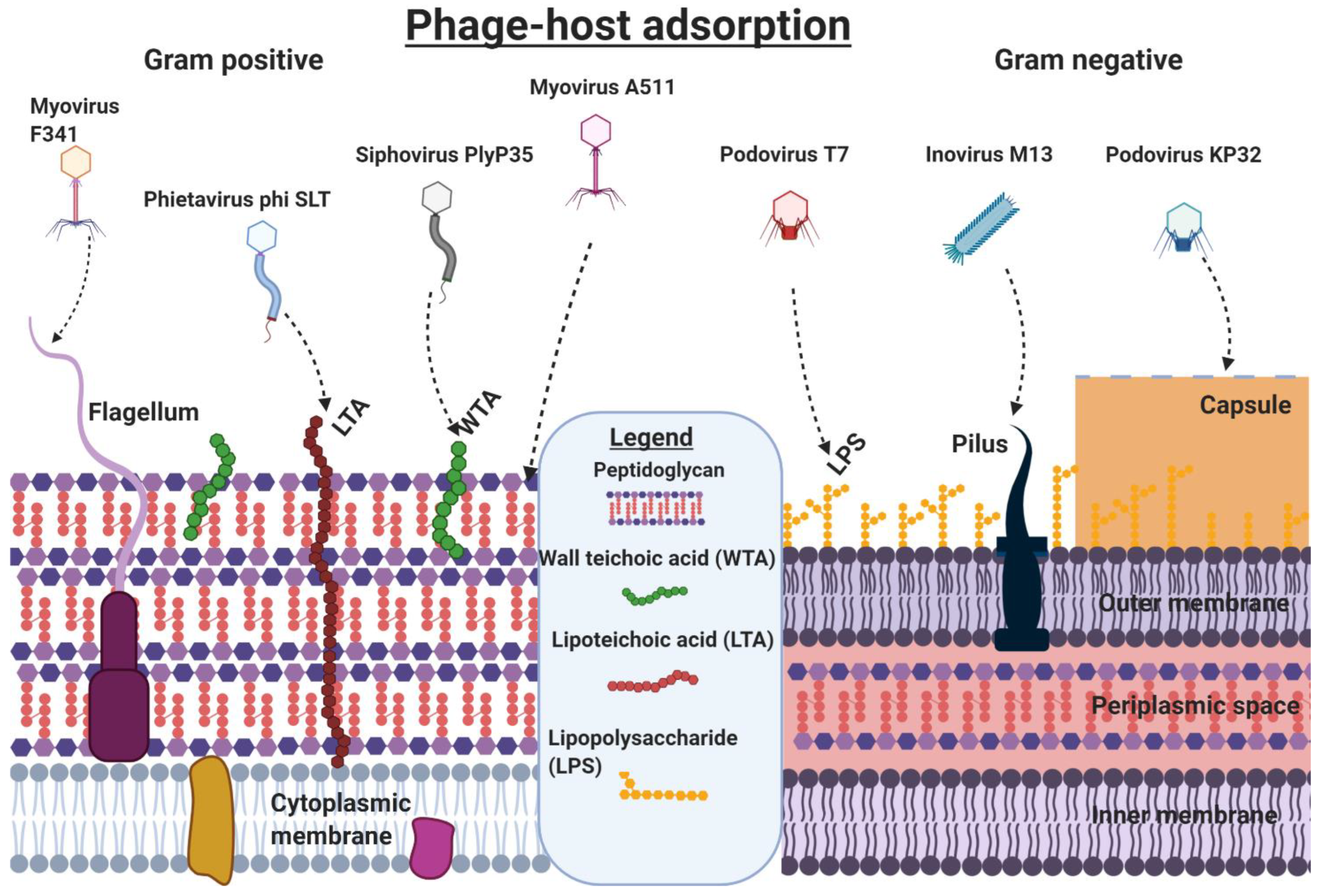 Preprints 89244 g003