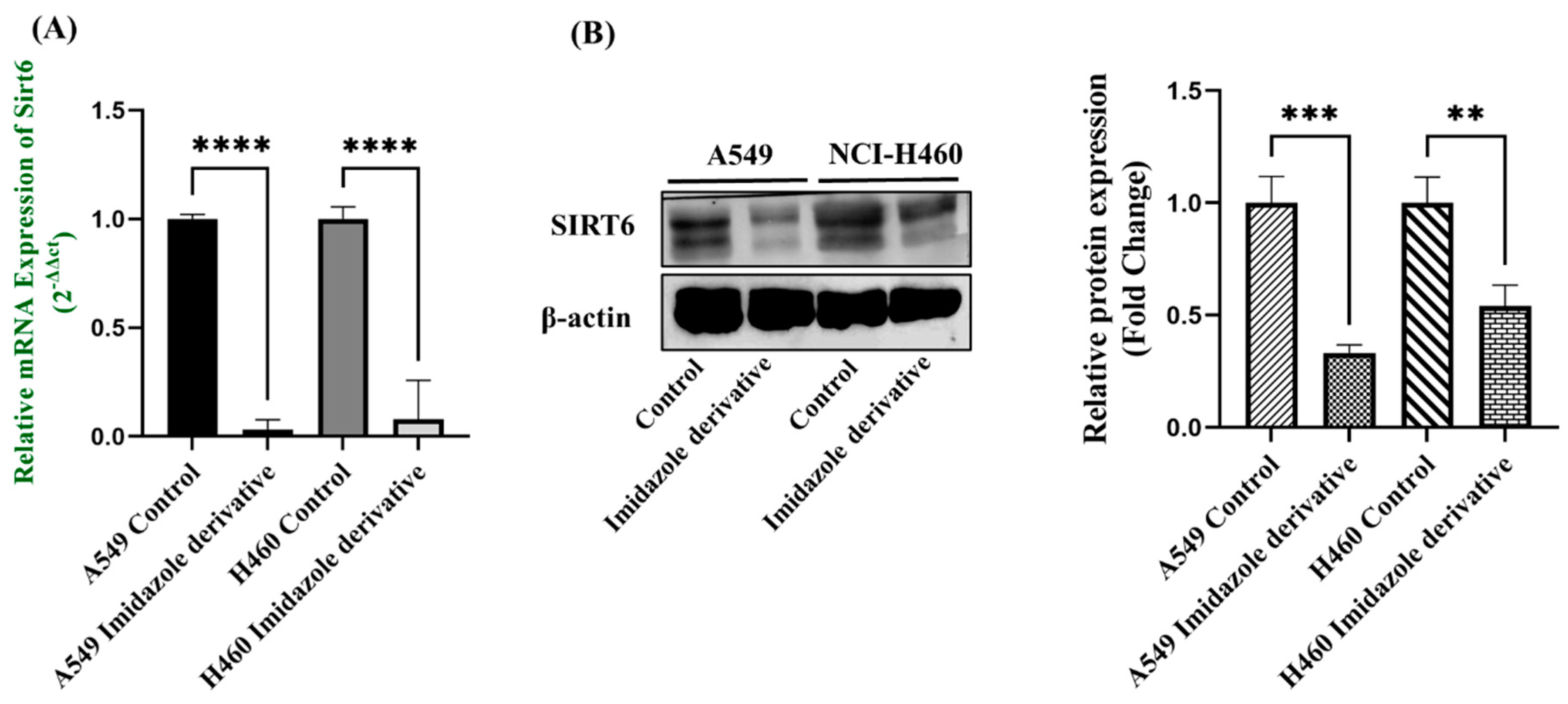 Preprints 81582 g002