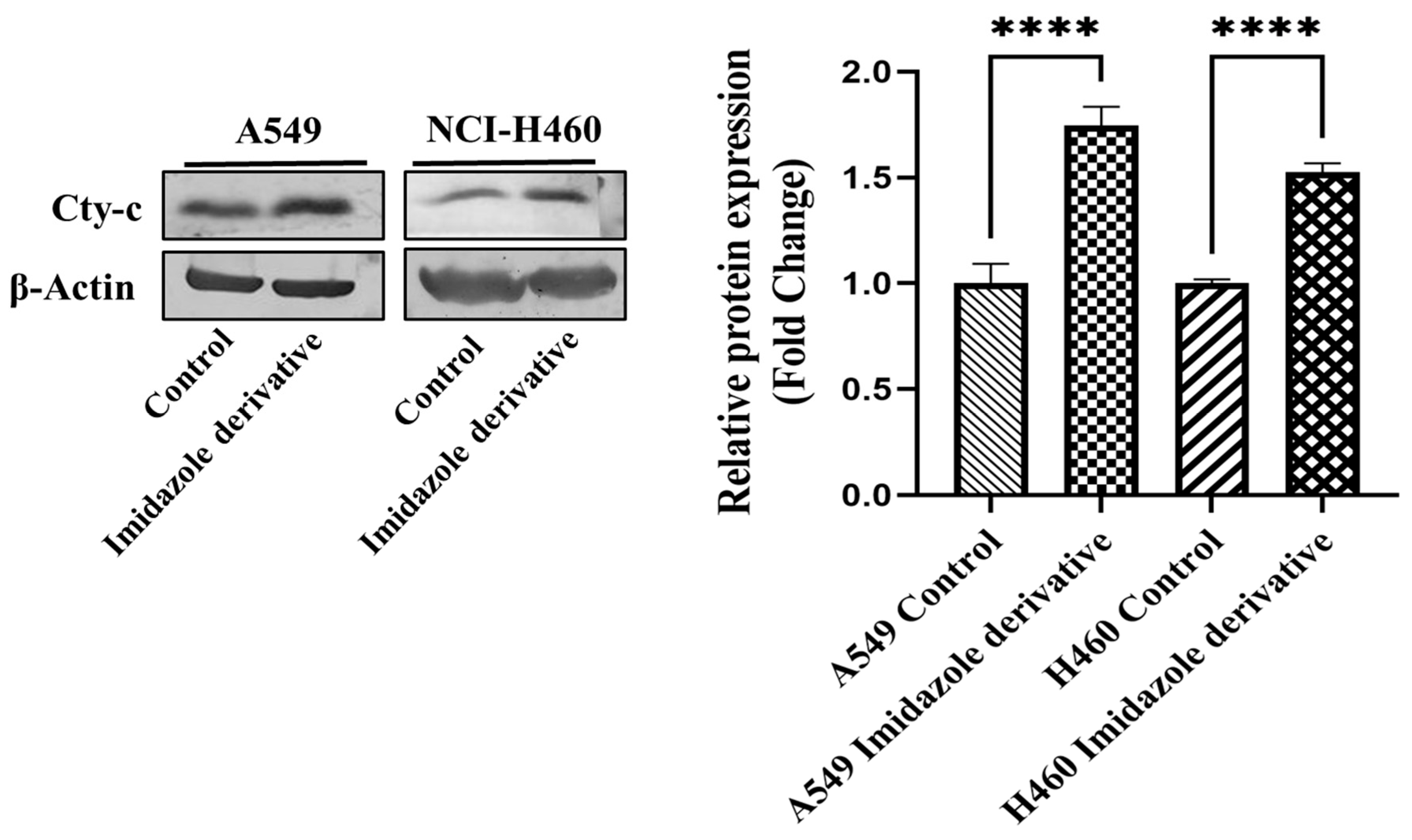 Preprints 81582 g004