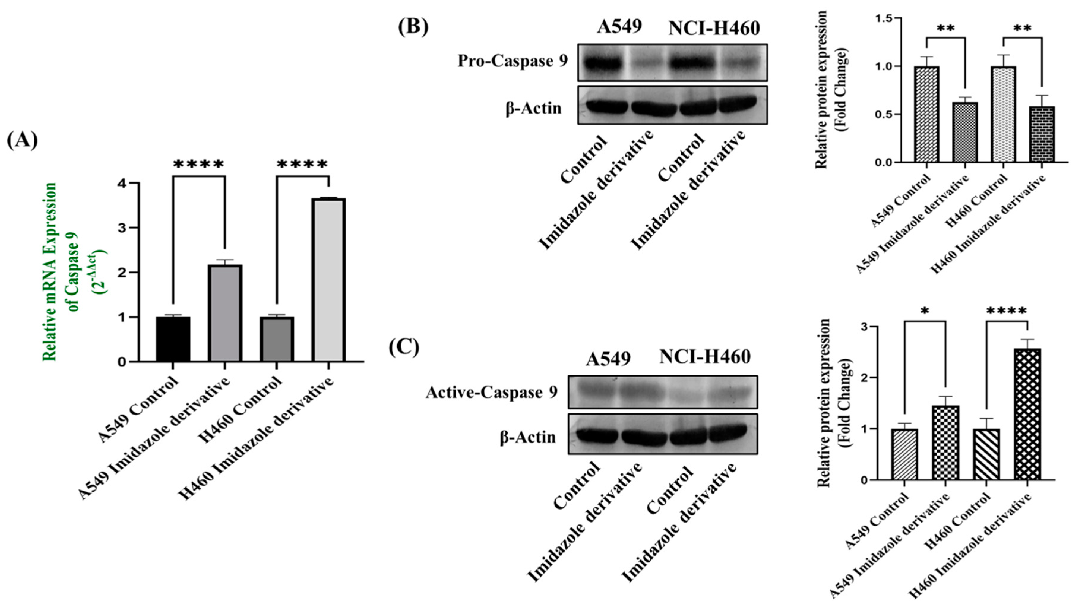 Preprints 81582 g005