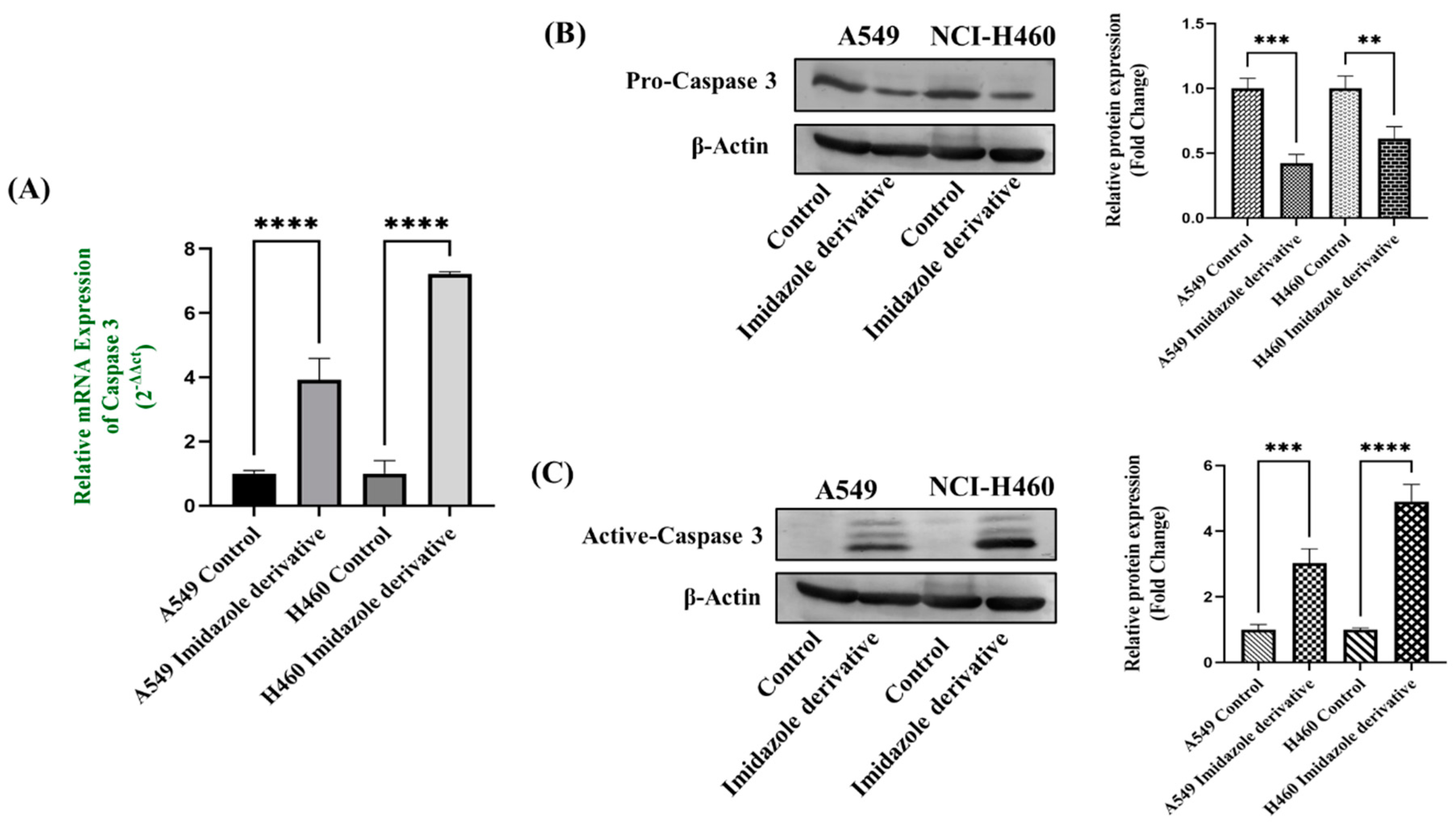 Preprints 81582 g006