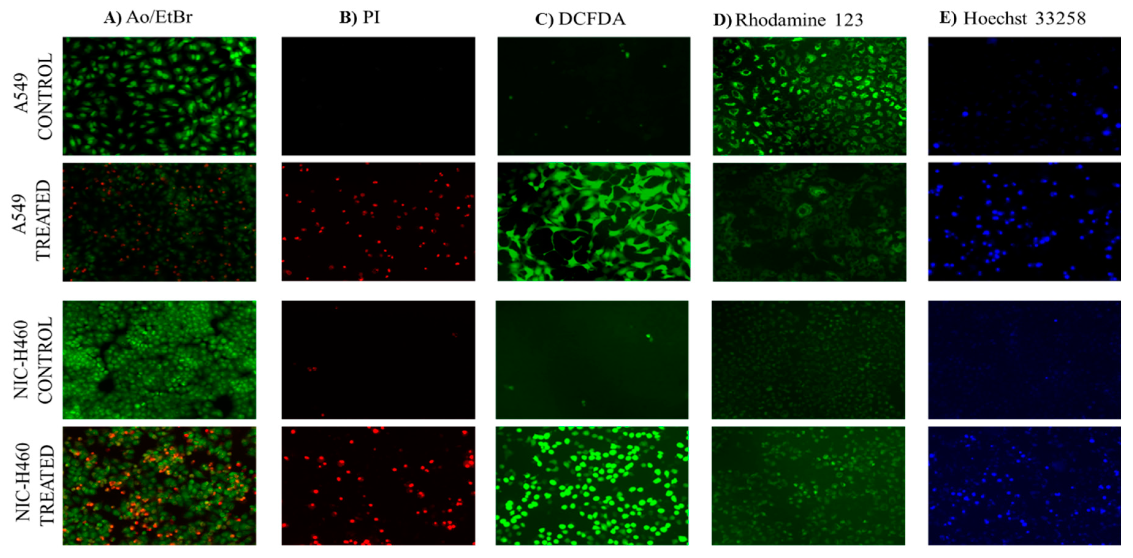 Preprints 81582 g007