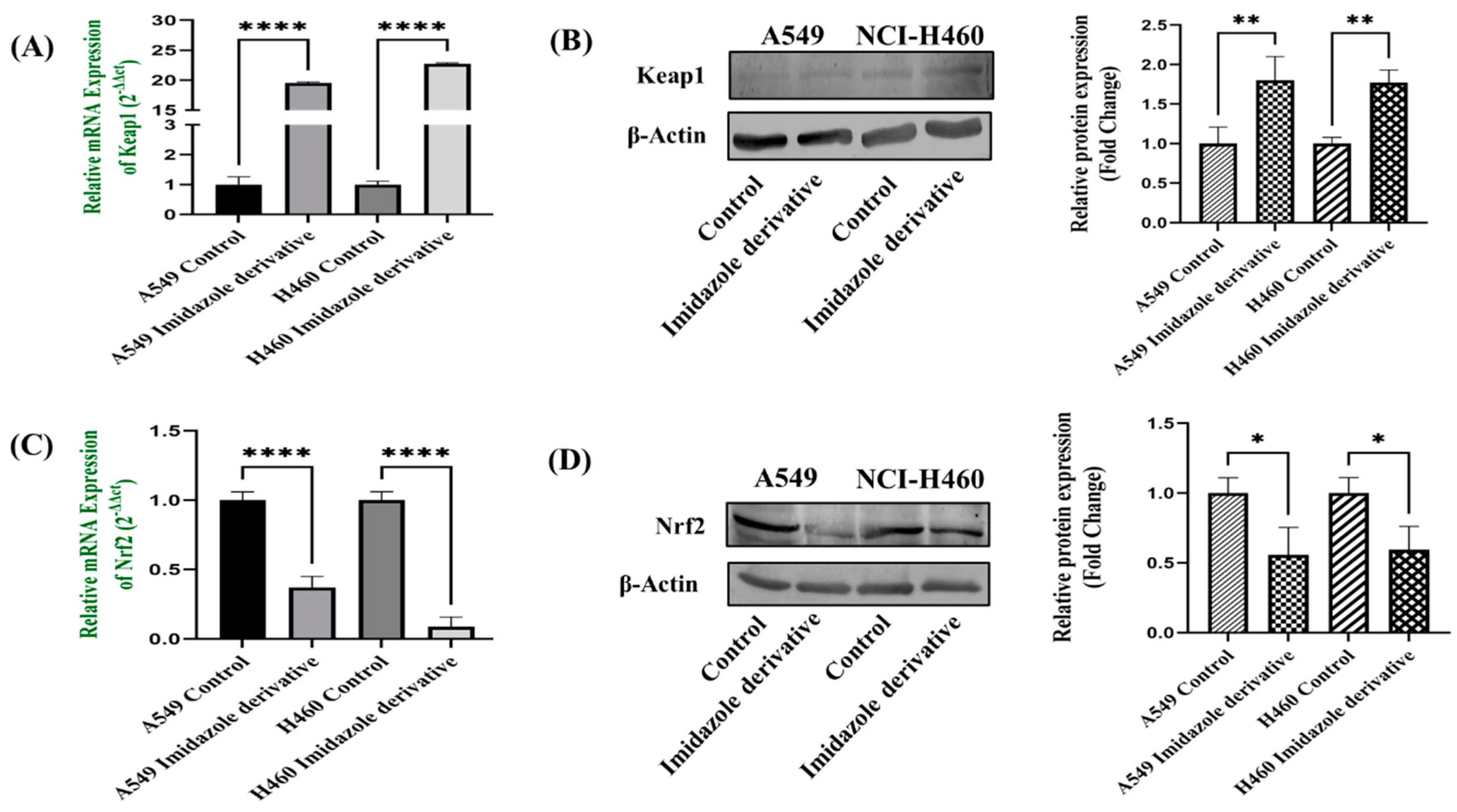 Preprints 81582 g008