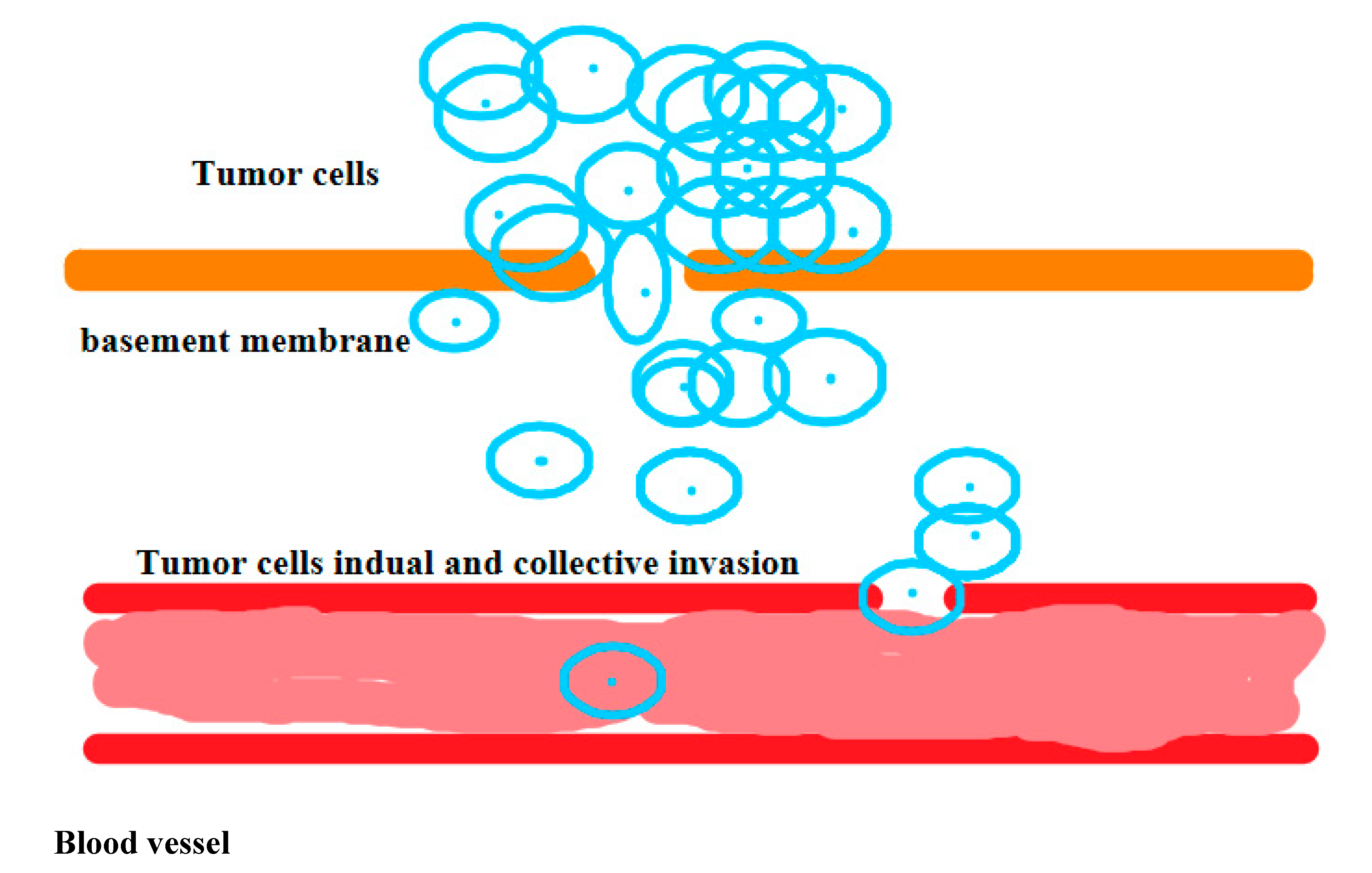 Preprints 81771 g002