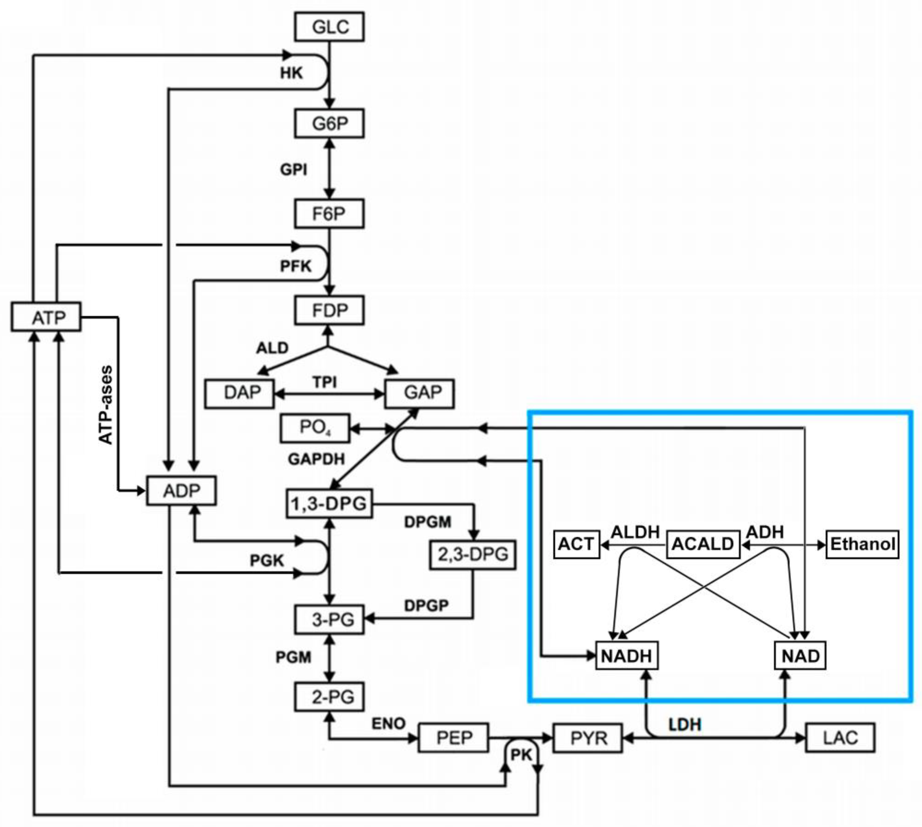 Preprints 72208 g001