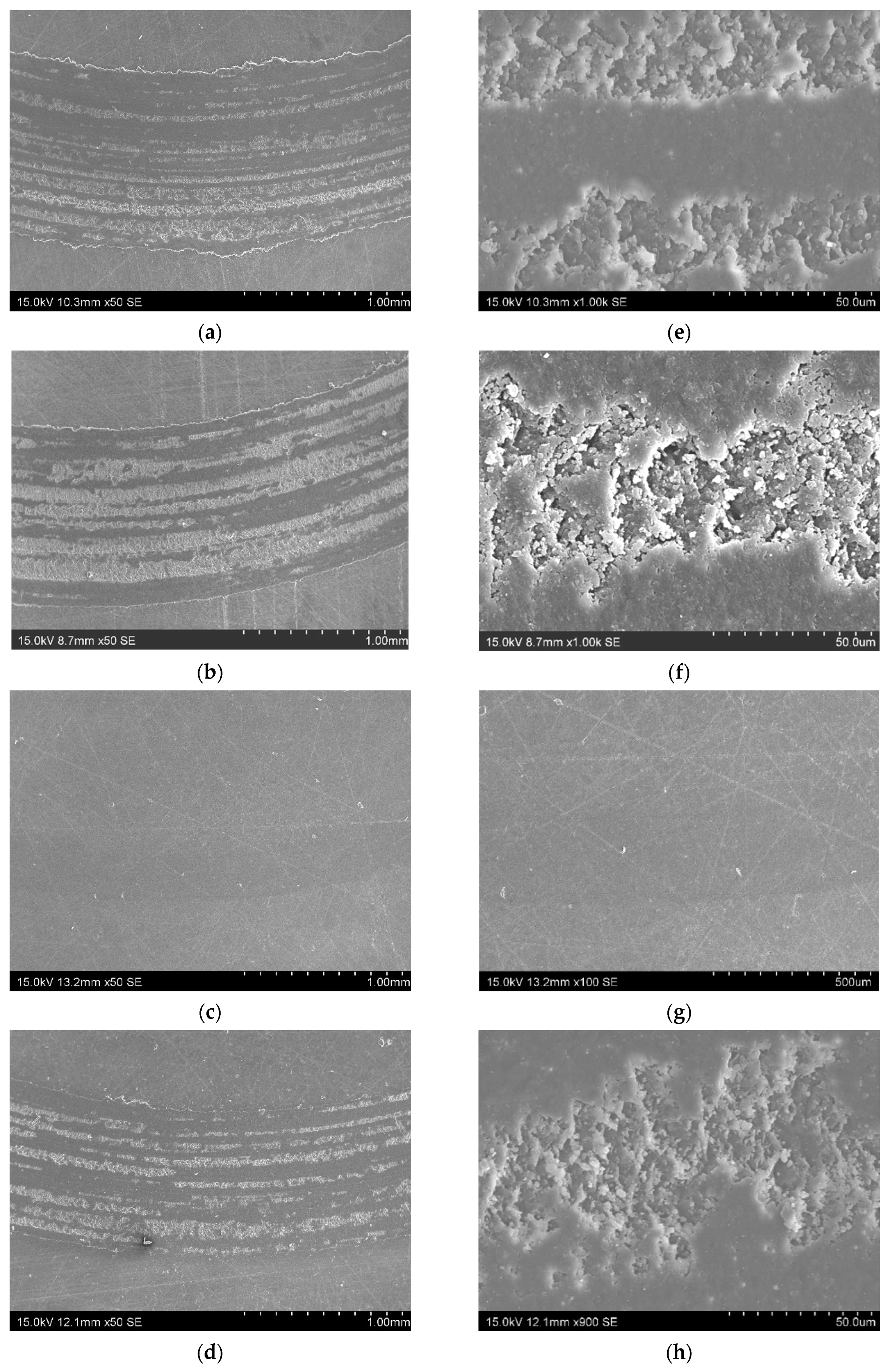 Preprints 102400 g005