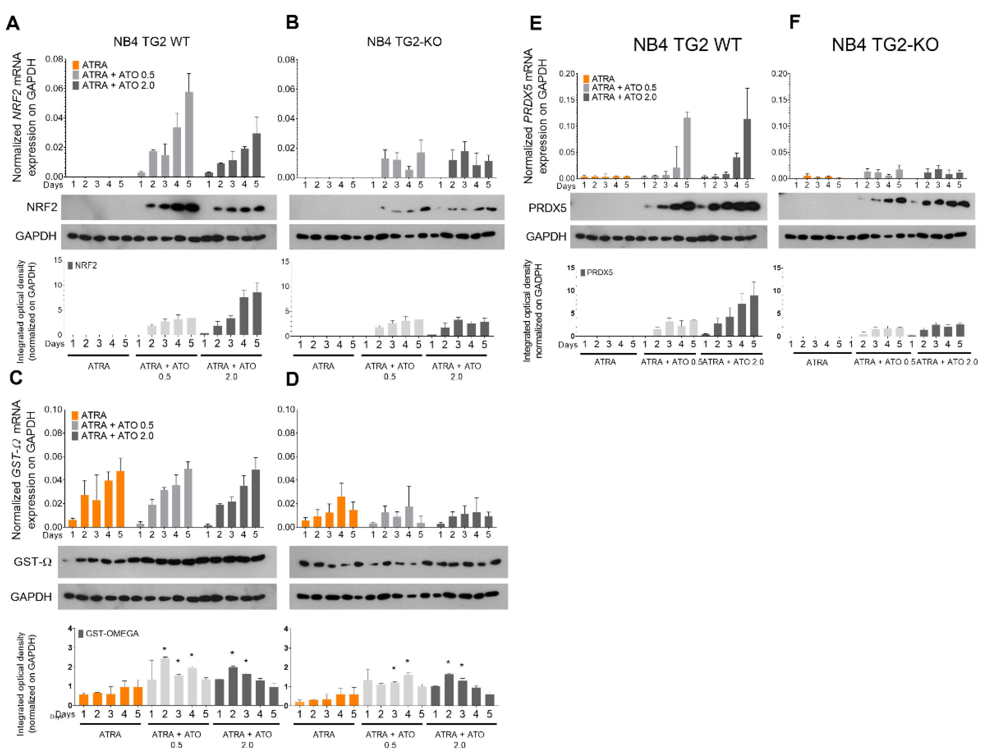 Preprints 73108 g003