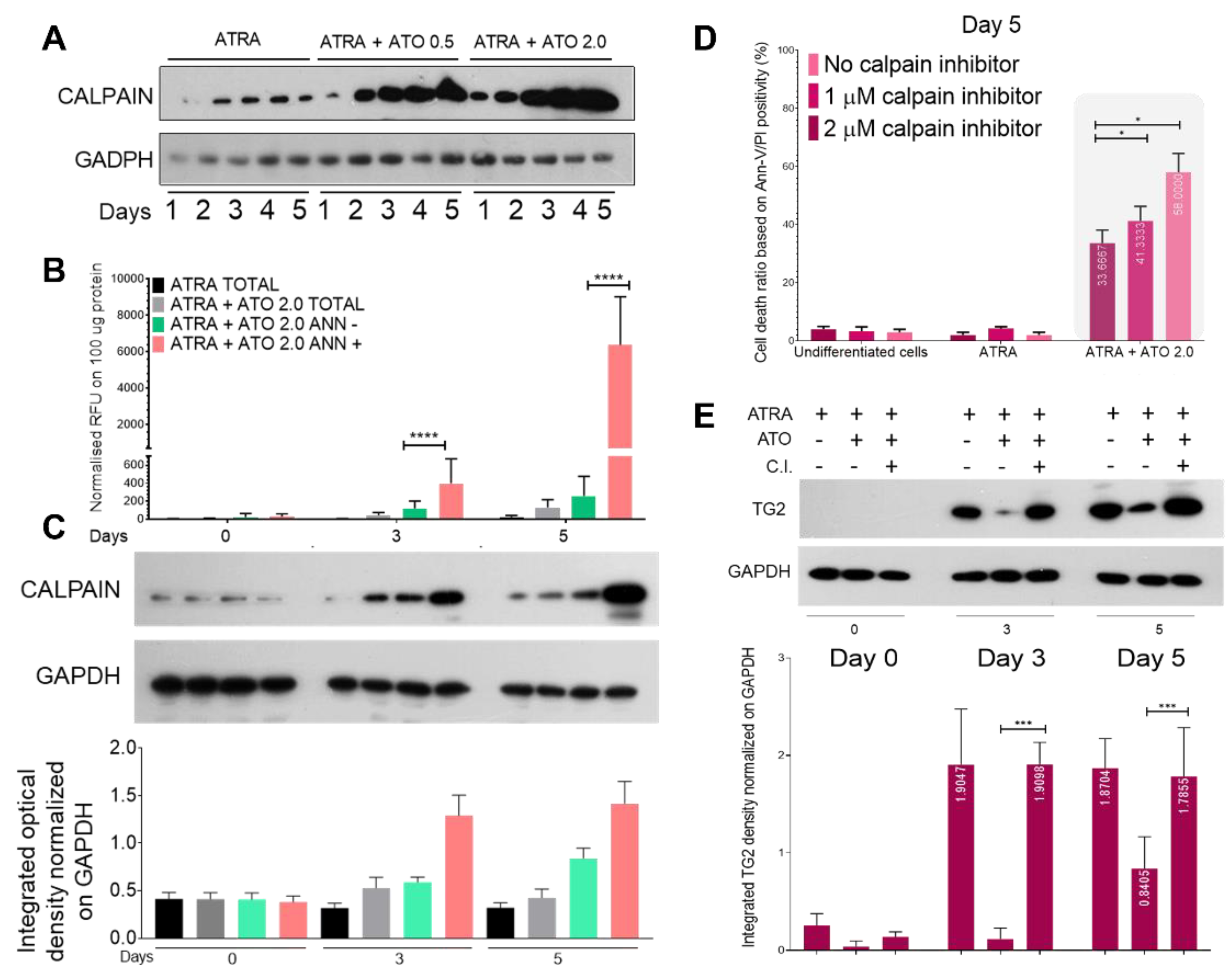 Preprints 73108 g004