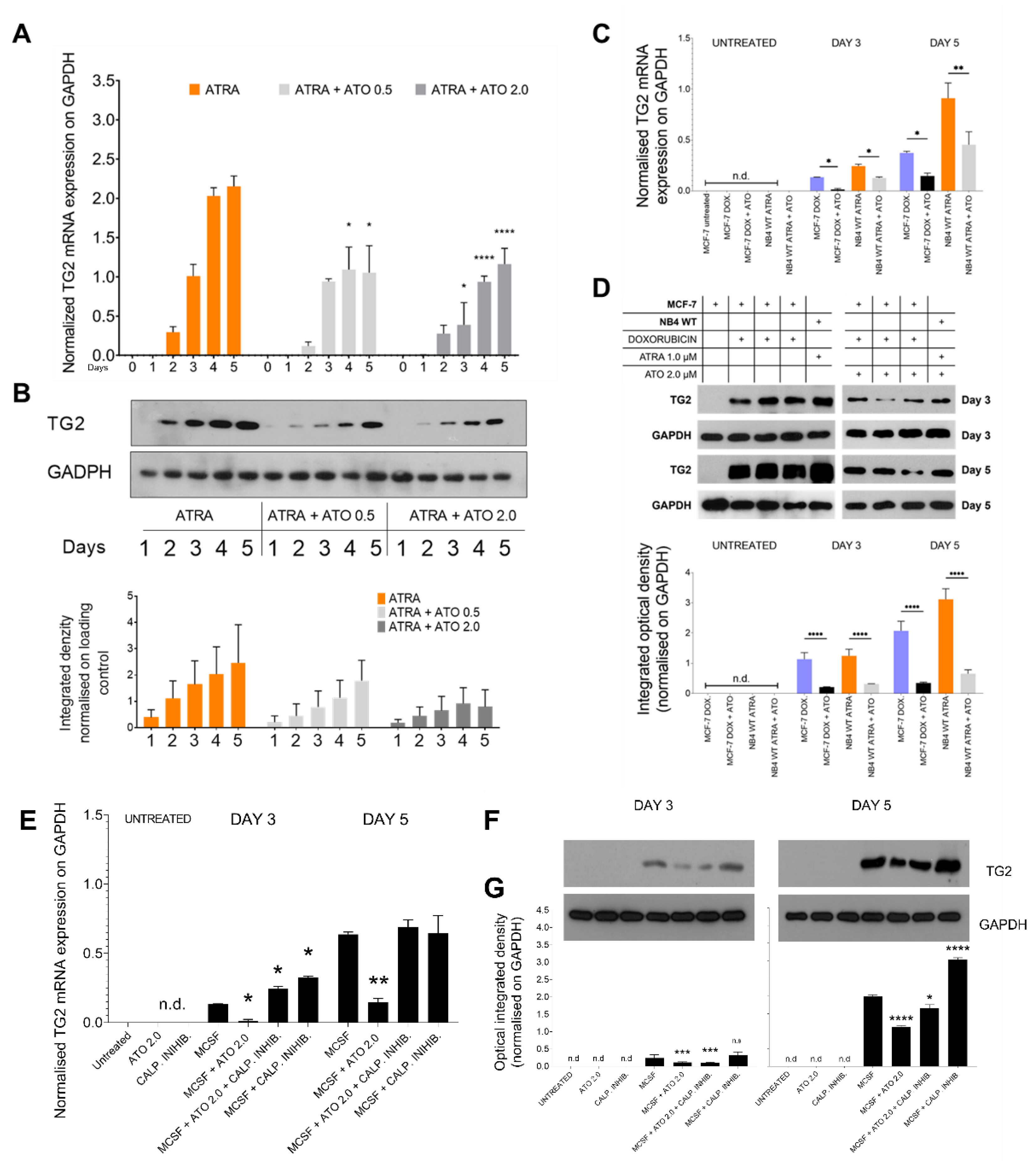 Preprints 73108 g005