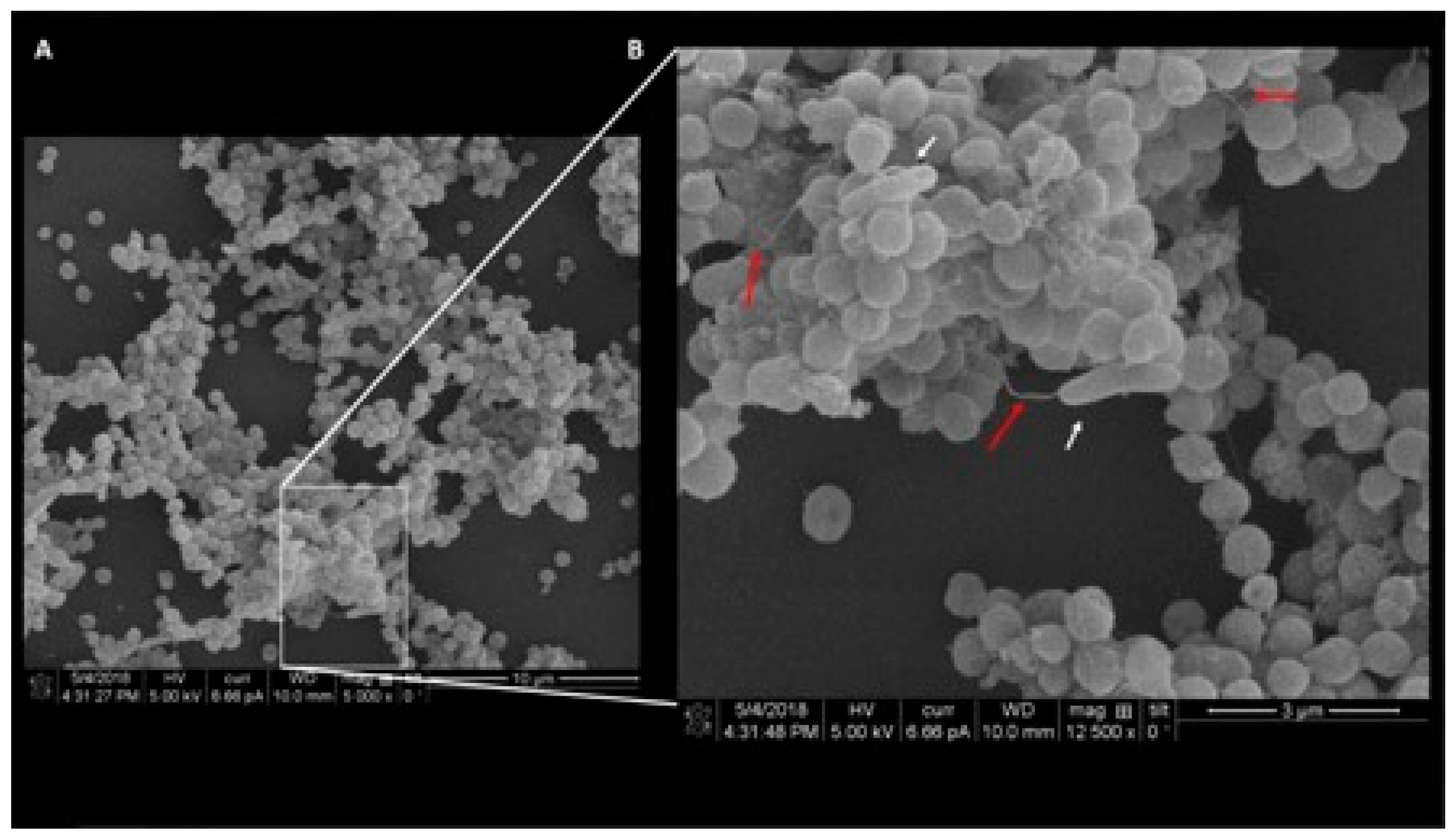 Preprints 78103 g001