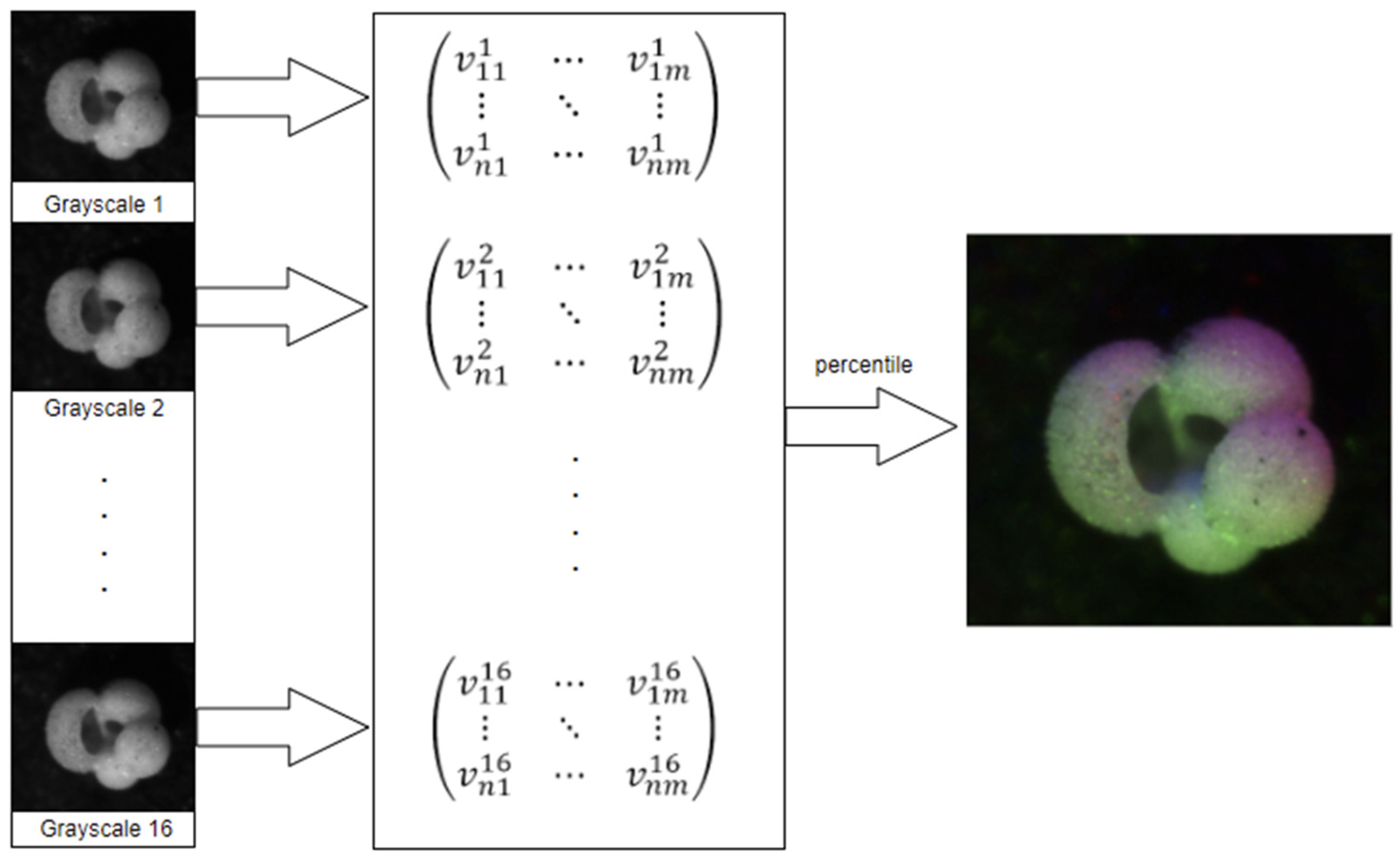 Preprints 68880 g001