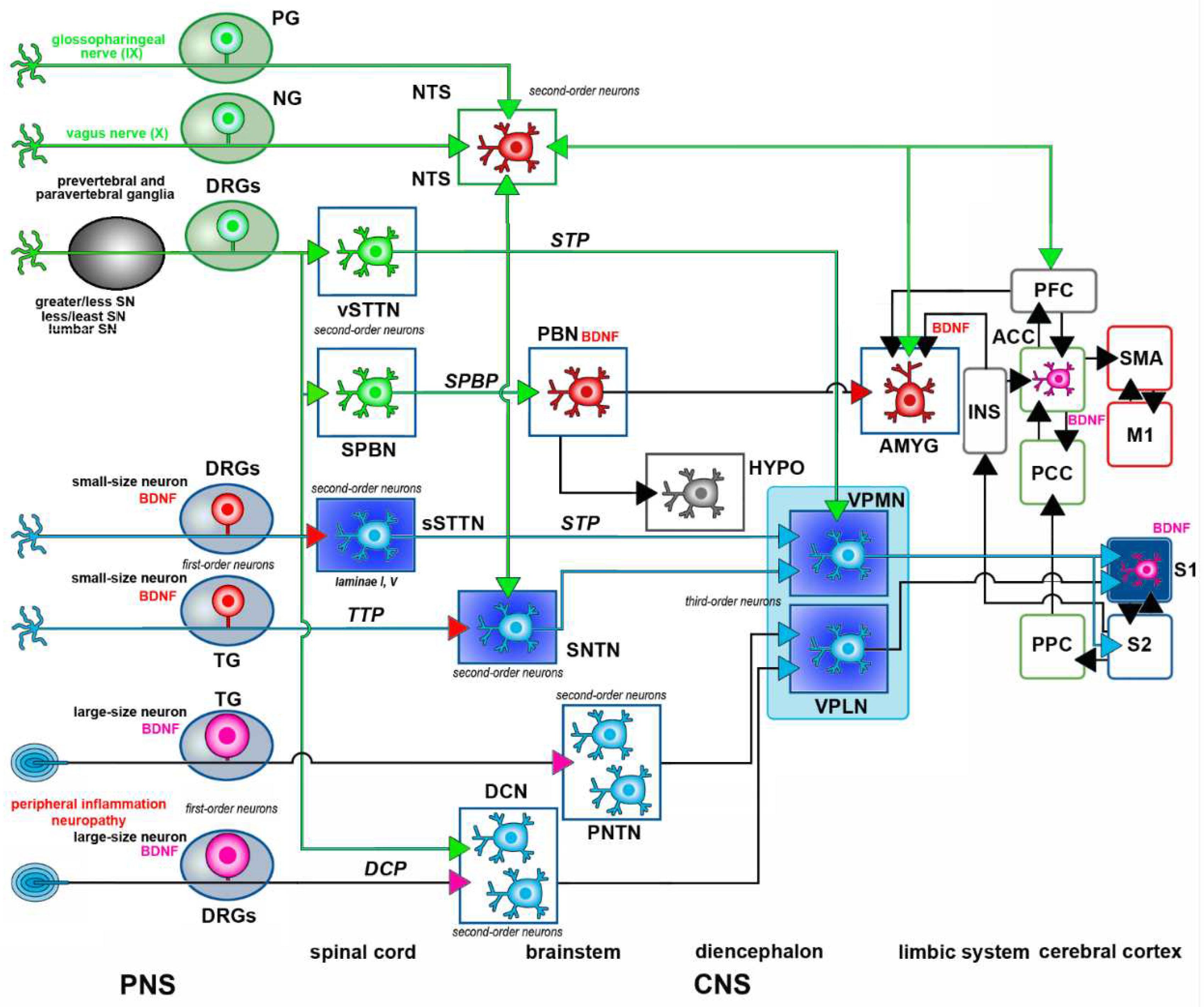 Preprints 98576 g002