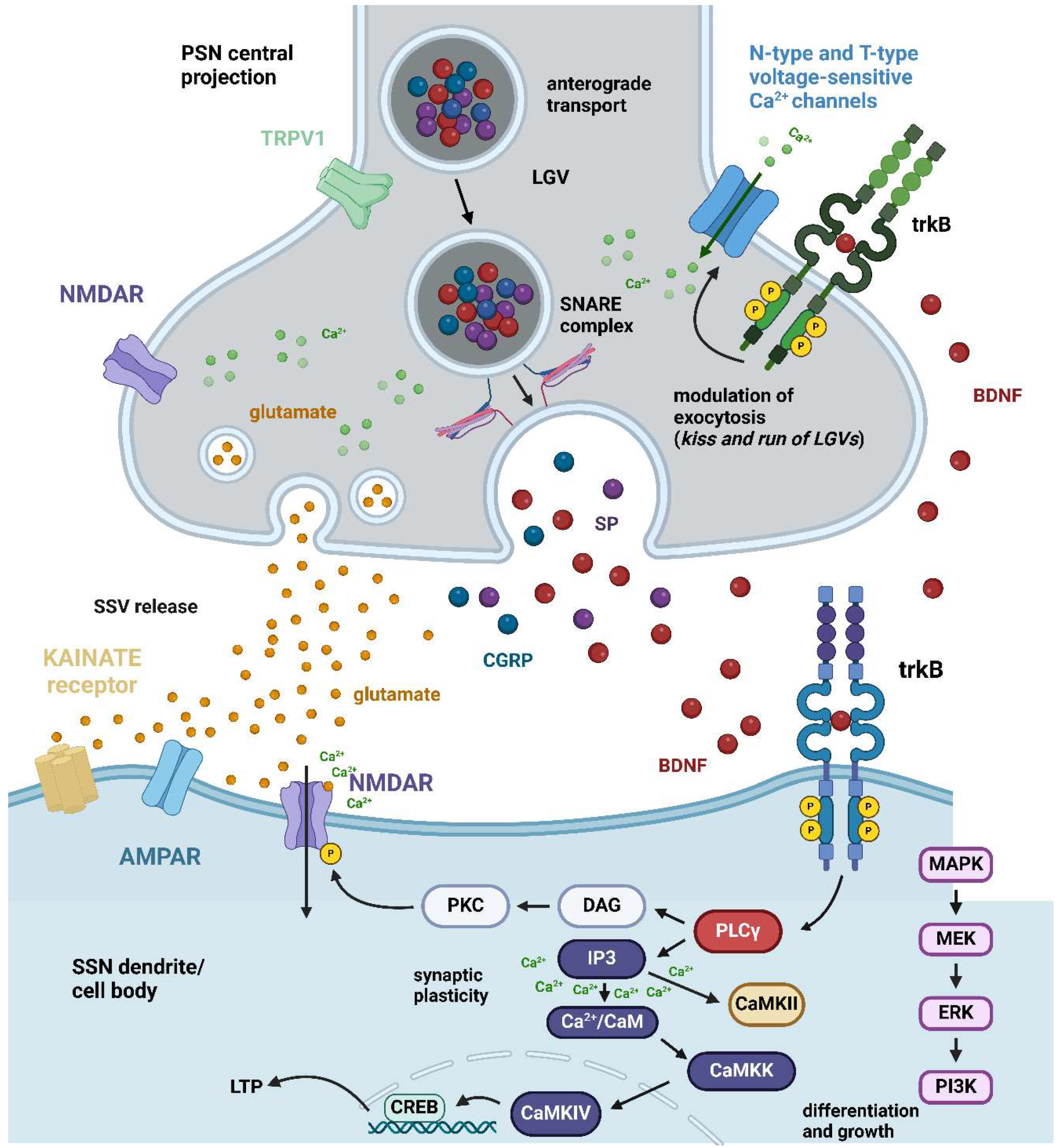 Preprints 98576 g003