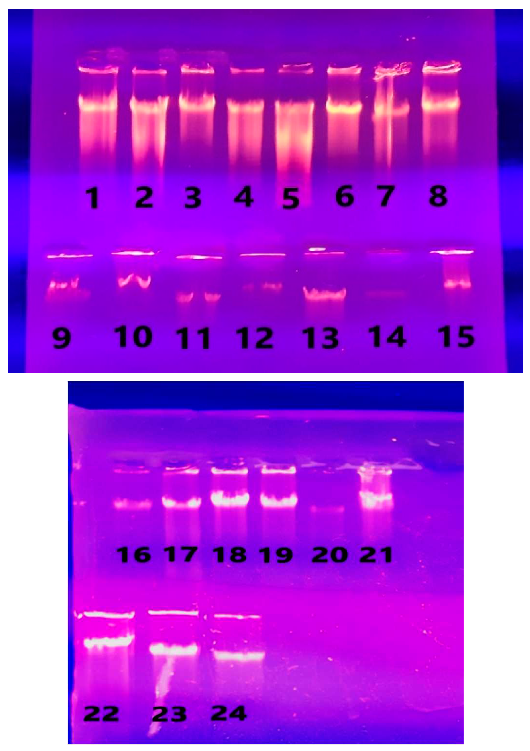 Preprints 91257 g002