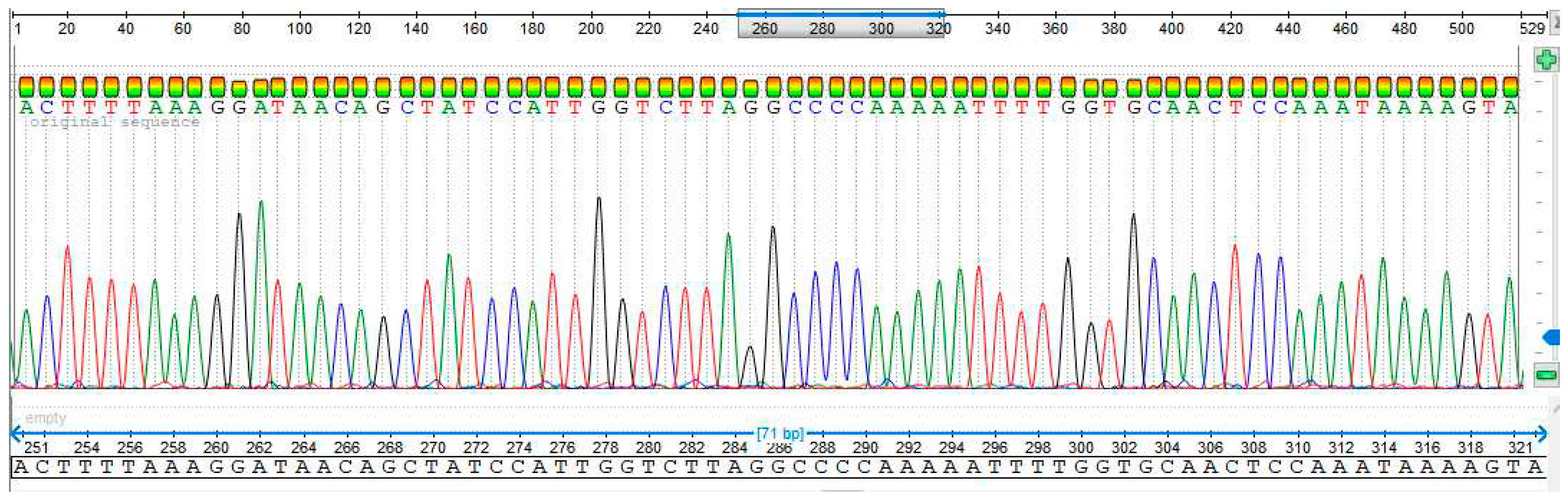 Preprints 91257 g006