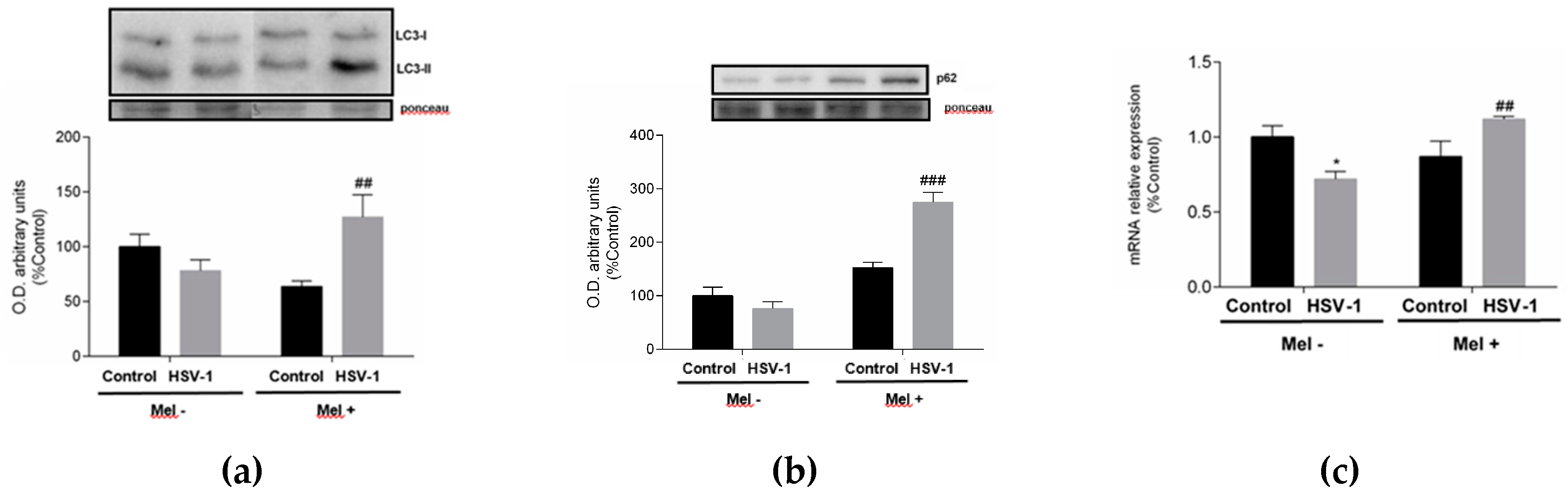 Preprints 100236 g004