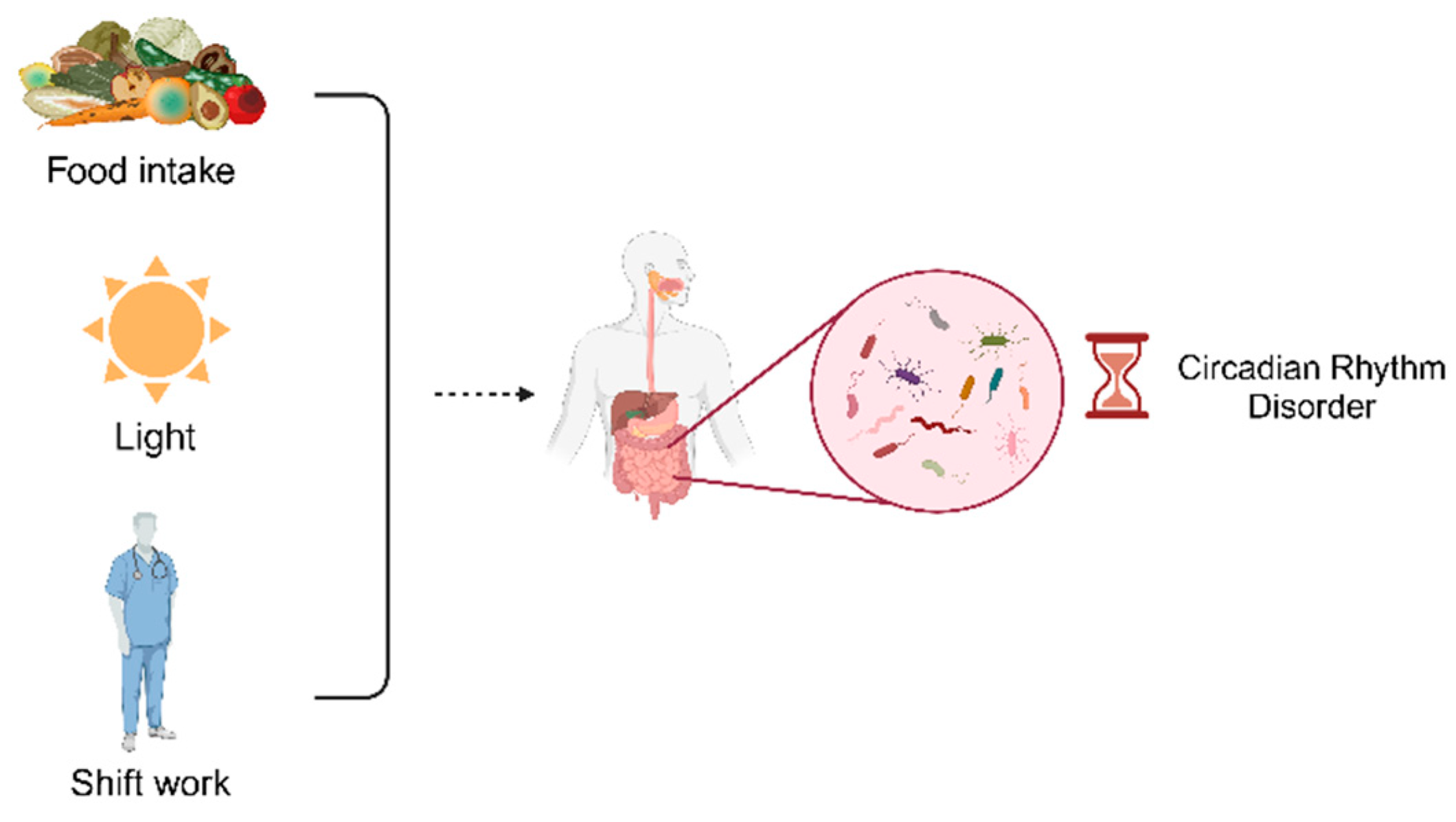 Preprints 112302 g003