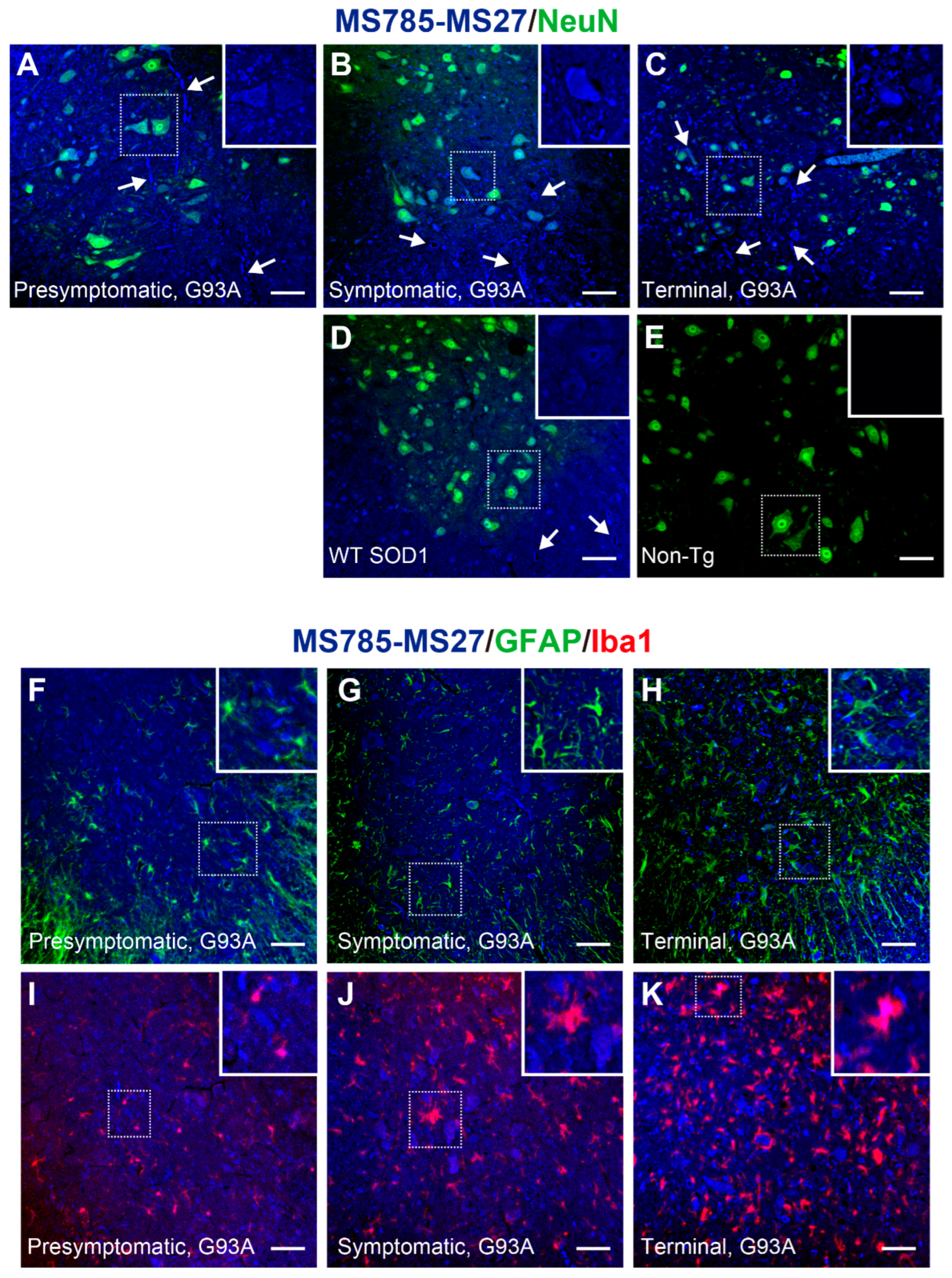 Preprints 103175 g005