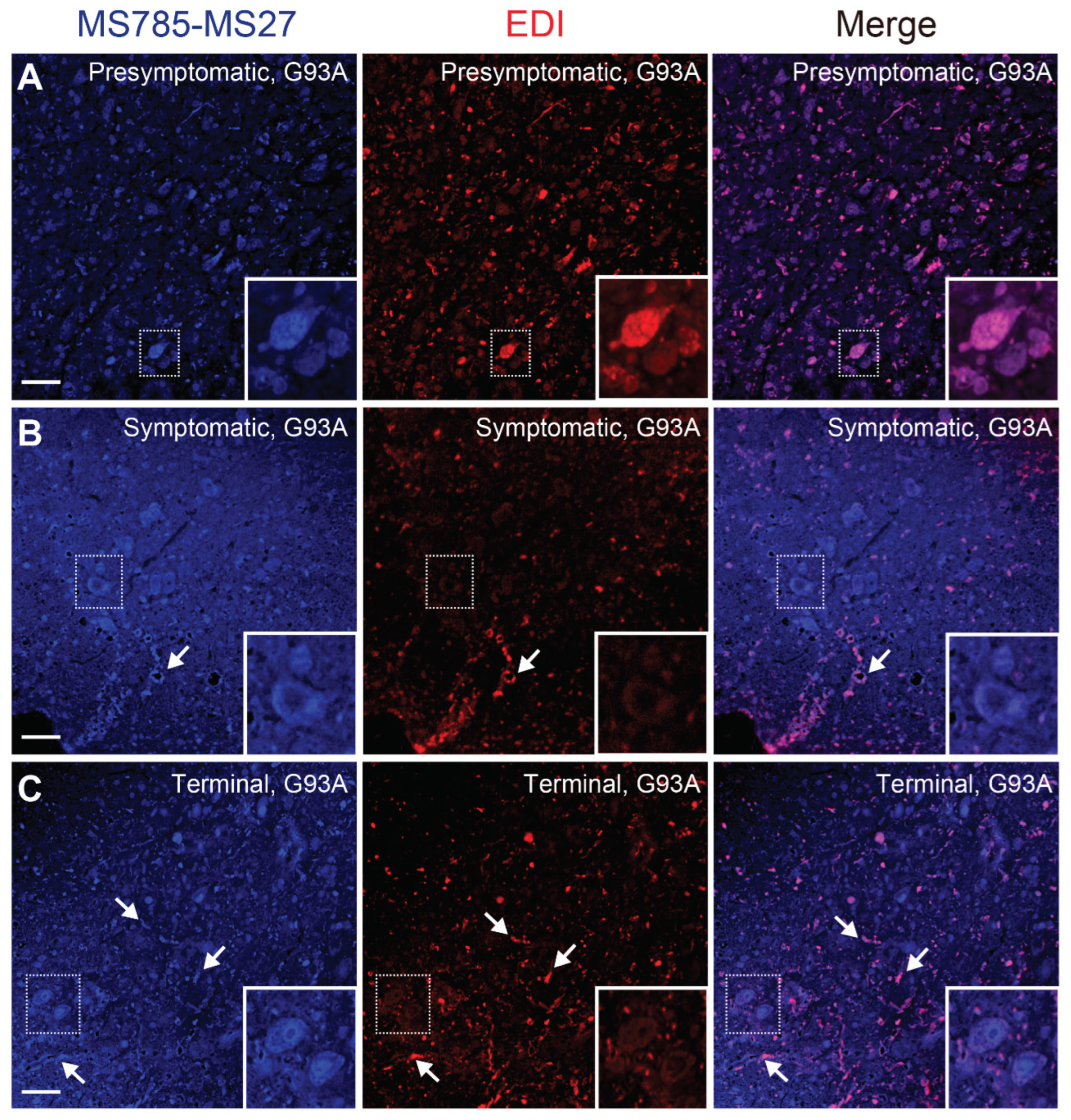 Preprints 103175 g006