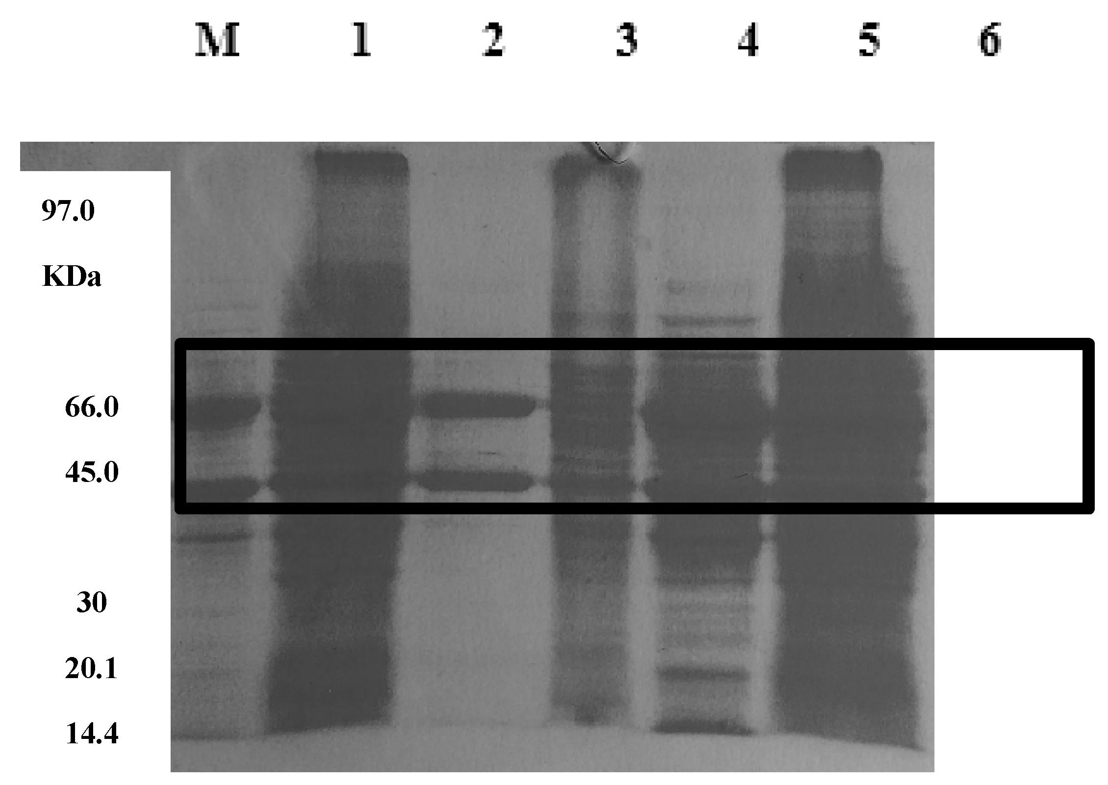 Preprints 110655 g004