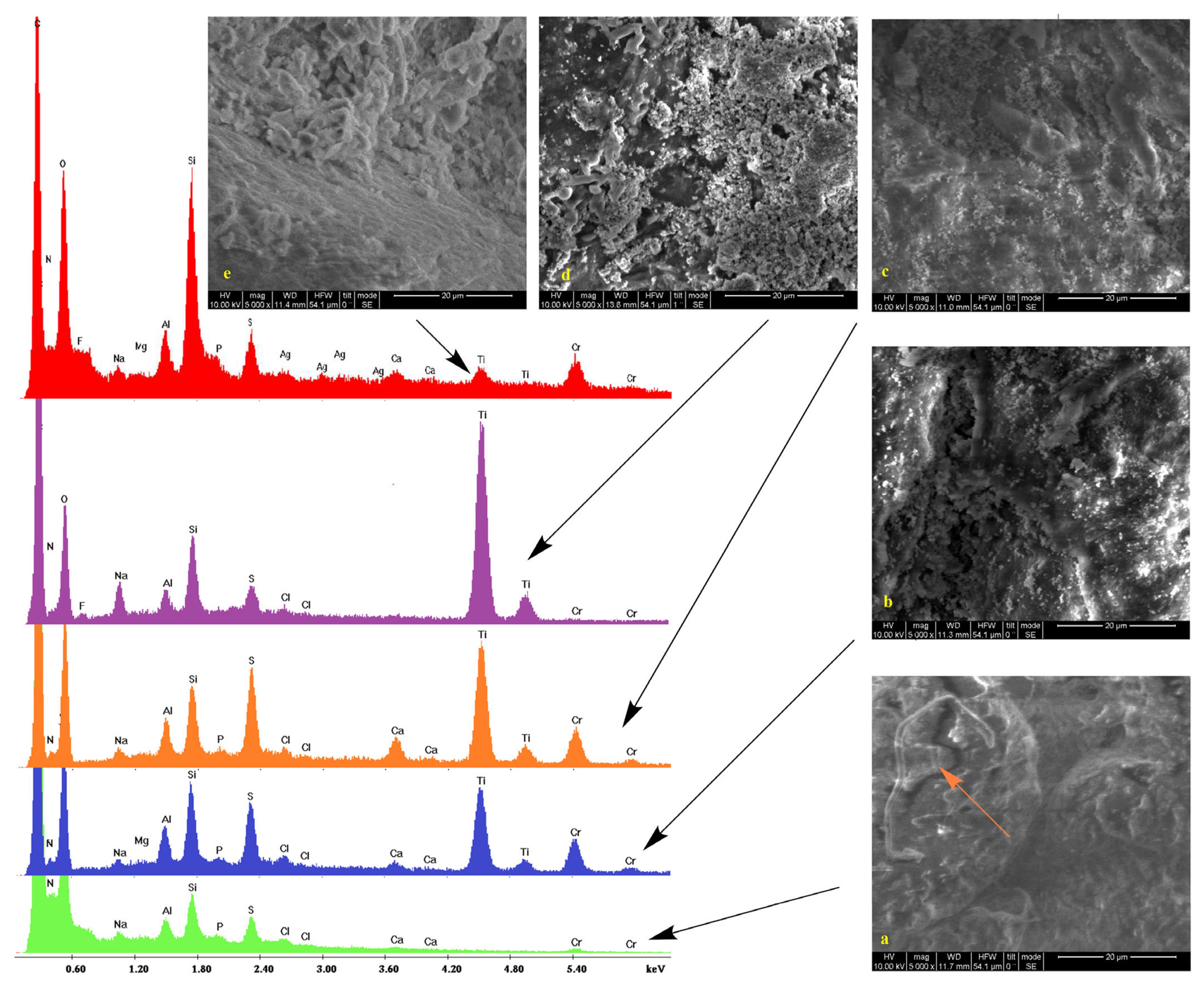 Preprints 80330 g001