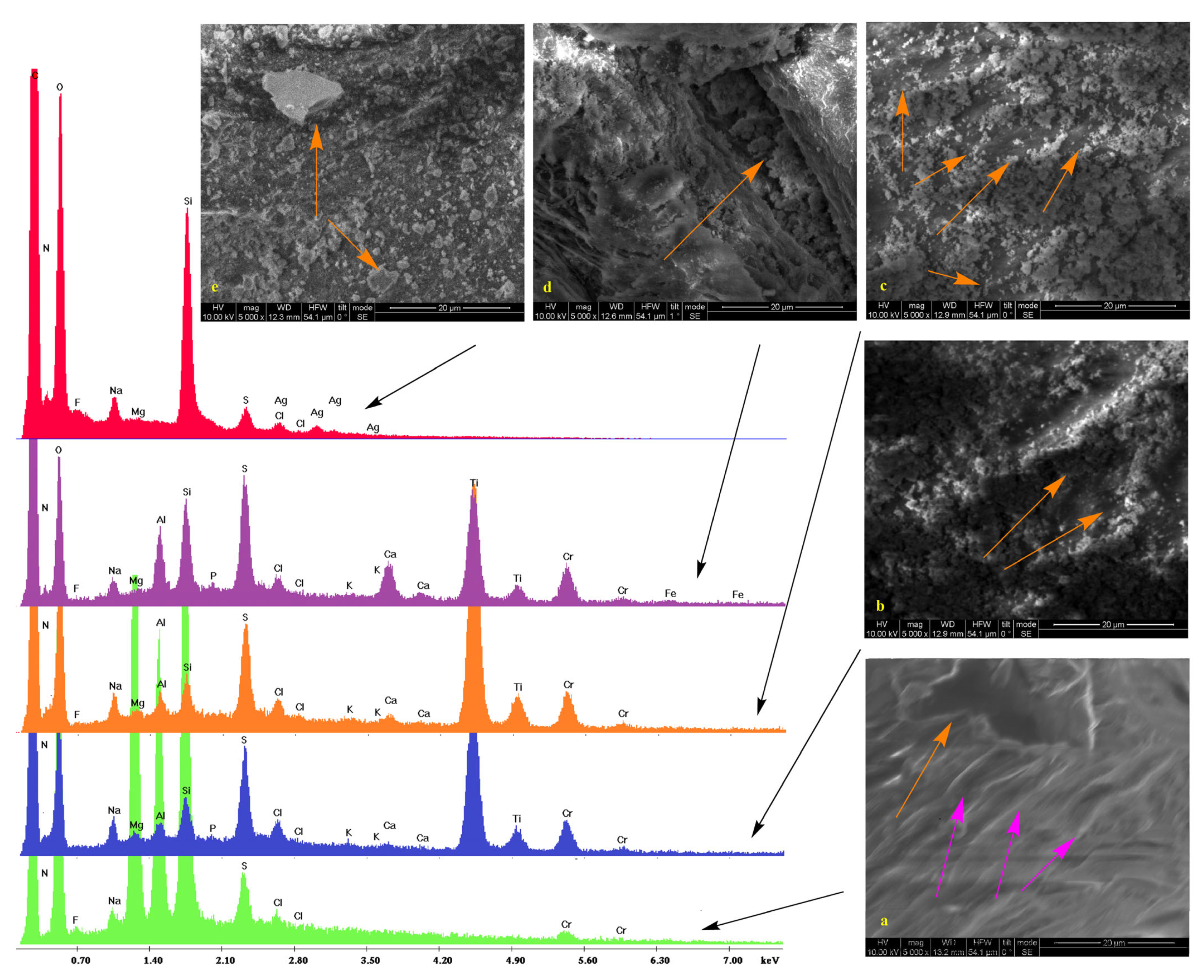 Preprints 80330 g002